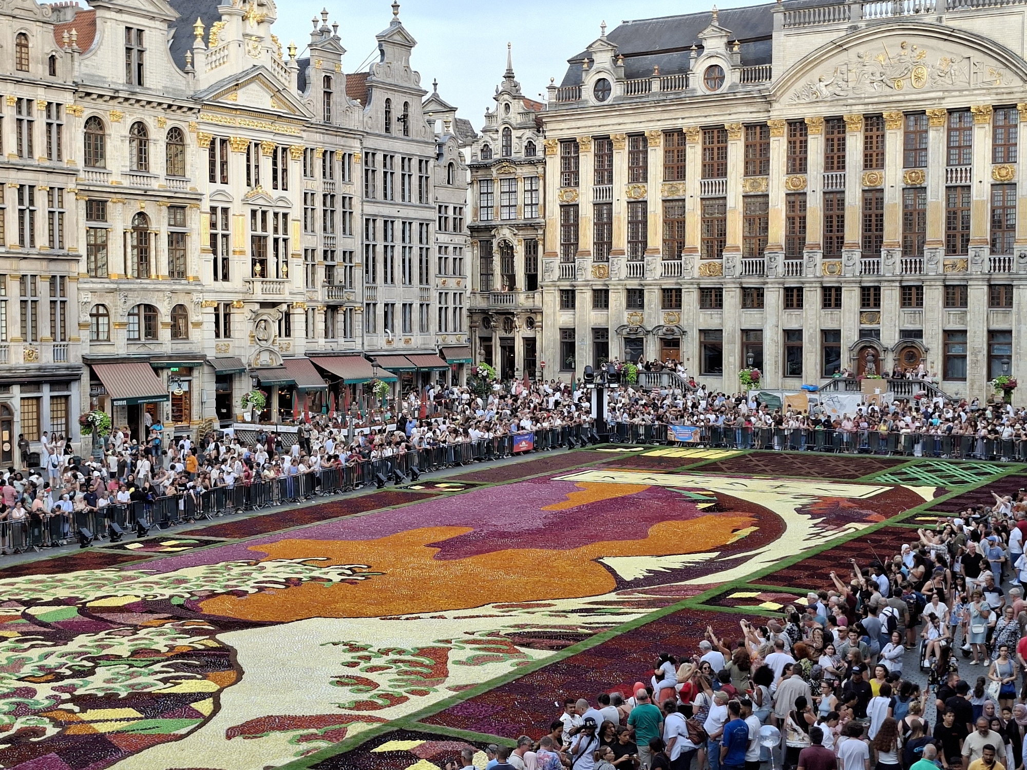 The image captures a wide-angle view of the Grand Place in Brussels, Belgium, during the biannual Flower Carpet event. The historic square is filled with ornate buildings featuring Baroque architecture, adorned with gold detailing and sculptures. In the foreground, a massive carpet made of thousands of begonia flowers is laid out, displaying intricate patterns and vibrant colors, primarily in shades of purple, orange, yellow, and green. A large crowd of spectators is gathered on the opposite side of the square, behind metal barriers, observing the flower carpet and taking photographs. The sky is overcast, suggesting it is daytime.