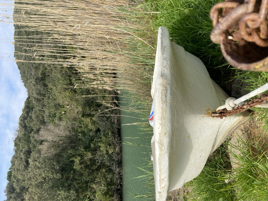 A white, weathered boat is beached on green grass next to a calm, greenish body of water. The boat's bow is secured by a rusty metal chain, which is attached to a white rope with a visible knot. This rope extends to the lower right foreground, where it connects to a partially visible, rusted metal object. The waterway's far bank is densely lined with tall, dry, yellowish reeds, which transition into a steep hillside covered with various green trees and bushes. A partially cloudy blue sky is visible above the hillside. No individuals are present. The location is a natural, riparian environment within the city of Unknown, Unknown.