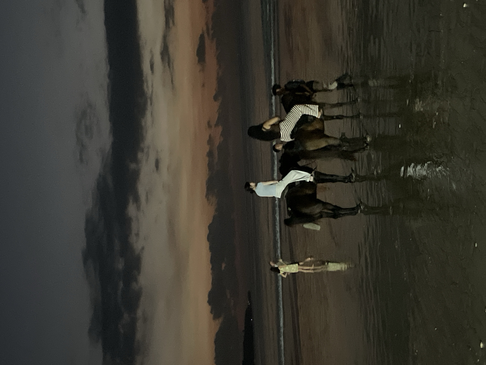 The image depicts a twilight scene on a wet, reflective surface, likely a beach or shallow water at dusk or dawn. The overall lighting is dim, with the sky displaying shades of dark grey, orange, and light blue, suggesting either sunrise or sunset.
The main subjects are several people and horses. In the foreground and mid-ground, at least three individuals are seen on horseback, riding or standing in the shallow water. One person, wearing a striped top, is mounted on a horse near the center-right. Another rider, dressed in a light-colored top, is visible further left. A third person, whose attire is less distinct, is also mounted.
The wet surface perfectly reflects the horses, riders, and a lone standing figure further in the background. This figure is seen standing in the water, their reflection clearly visible. The water's surface shows subtle ripples and textures.
The background features a broad expanse of the sky with distinct cloud formations, transitioning from darker tones on the left to lighter, warmer hues where the sun might be setting or rising. The horizon line where the sky meets the water is visible, indicating an open body of water, likely an ocean or large lake. There is no visible text in the image. The atmosphere is serene and tranquil due to the soft, natural light and the activity.