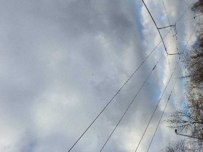 The image captures an outdoor scene under an overcast sky with patches of lighter clouds and visible blue sky, located in Illkirch-Graffenstaden, France. A dense network of black overhead electrical wires, consistent with public transport infrastructure, extends across the upper and middle portions of the frame. In the sky, a small, dark, indistinct object, possibly a bird or a small drone, is visible slightly left of the center. Below the overhead wires, the upper portions of bare deciduous trees are visible, indicating a dormant season. A dark street lamp post with its luminaire is present on the lower-left side of the frame, partially obscured by tree branches. No human subjects, animals, vehicles, or specific activities are discernible in the scene.