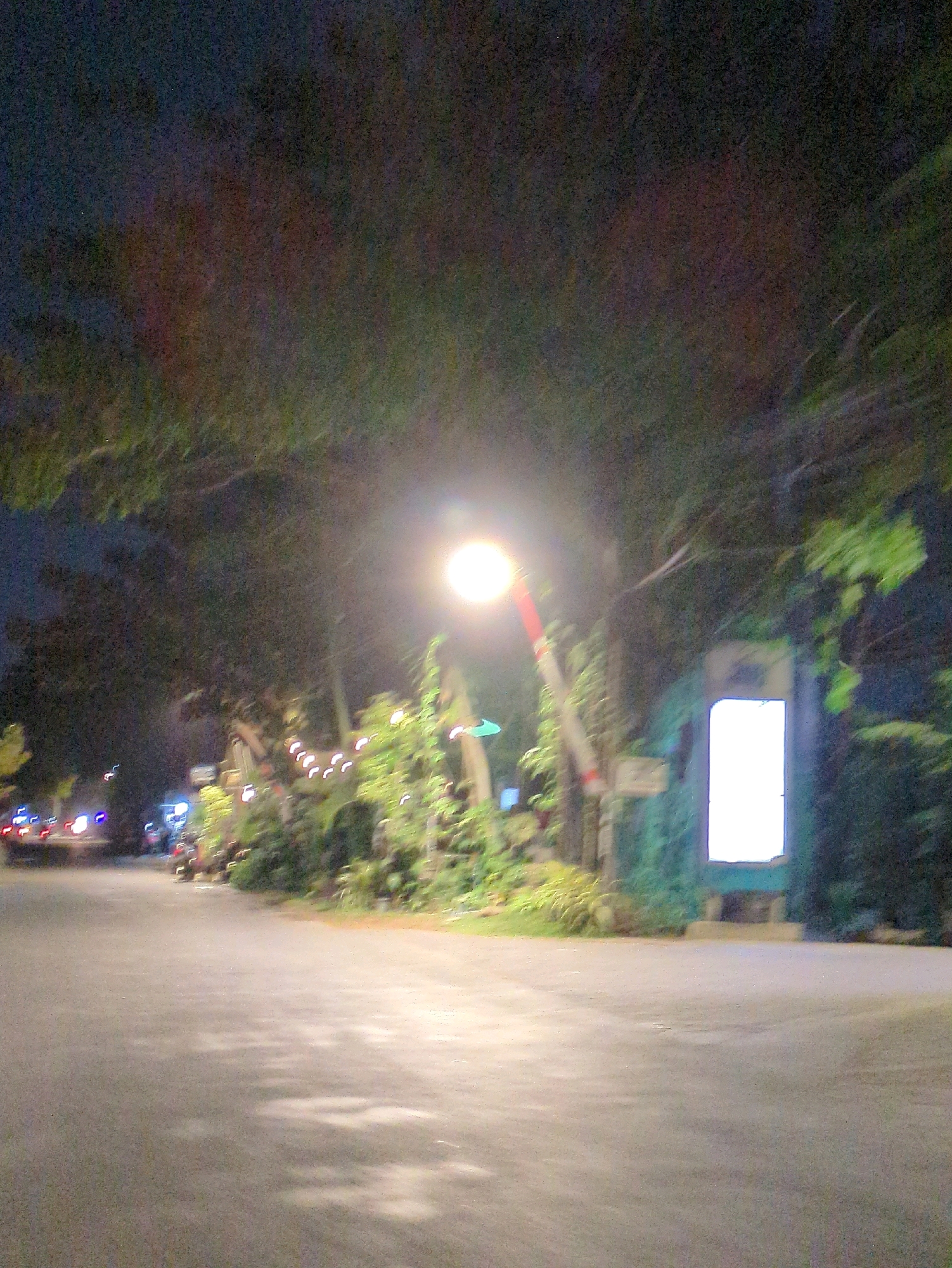 The image shows a street scene at night in what appears to be a park or wooded area in Paulan, Indonesia. A paved road runs through the foreground, with trees and lush vegetation lining the sides. A bright street lamp illuminates the scene, casting a warm glow on the surroundings. In the background, there are some blurred lights of vehicles, suggesting it's a public space. A white illuminated sign is visible on the right side of the frame, potentially a display or information board. The overall atmosphere is serene and tranquil, with the darkness of night contrasted by the artificial lighting.