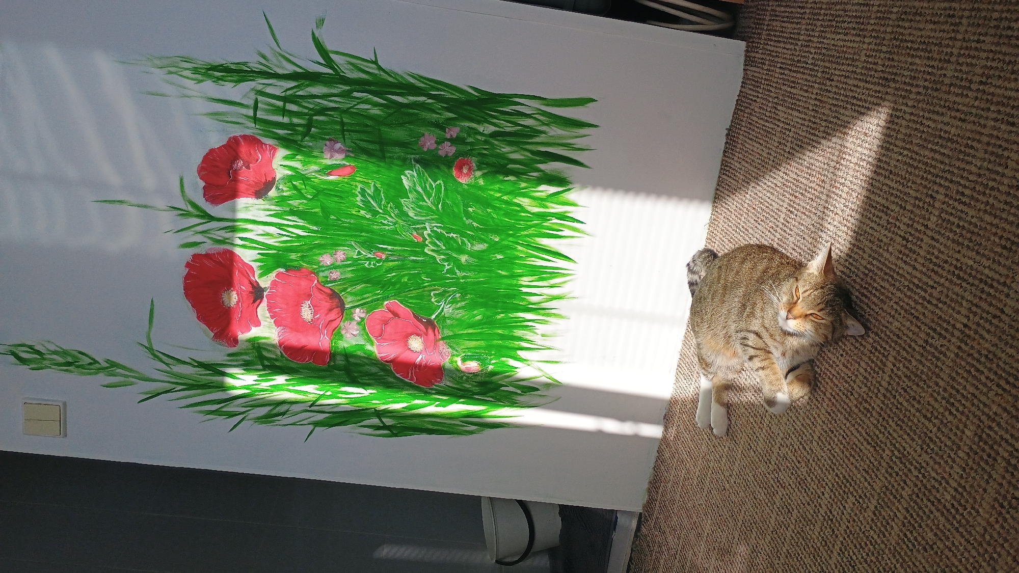 In a sunlit room, a large canvas painting of red poppies and green grass stands upright. A tabby cat is sleeping on a textured carpet in the foreground, basking in a shaft of sunlight. The room appears to be a residential interior, possibly an artist's studio or living space, located in Sokolov, Czechia.