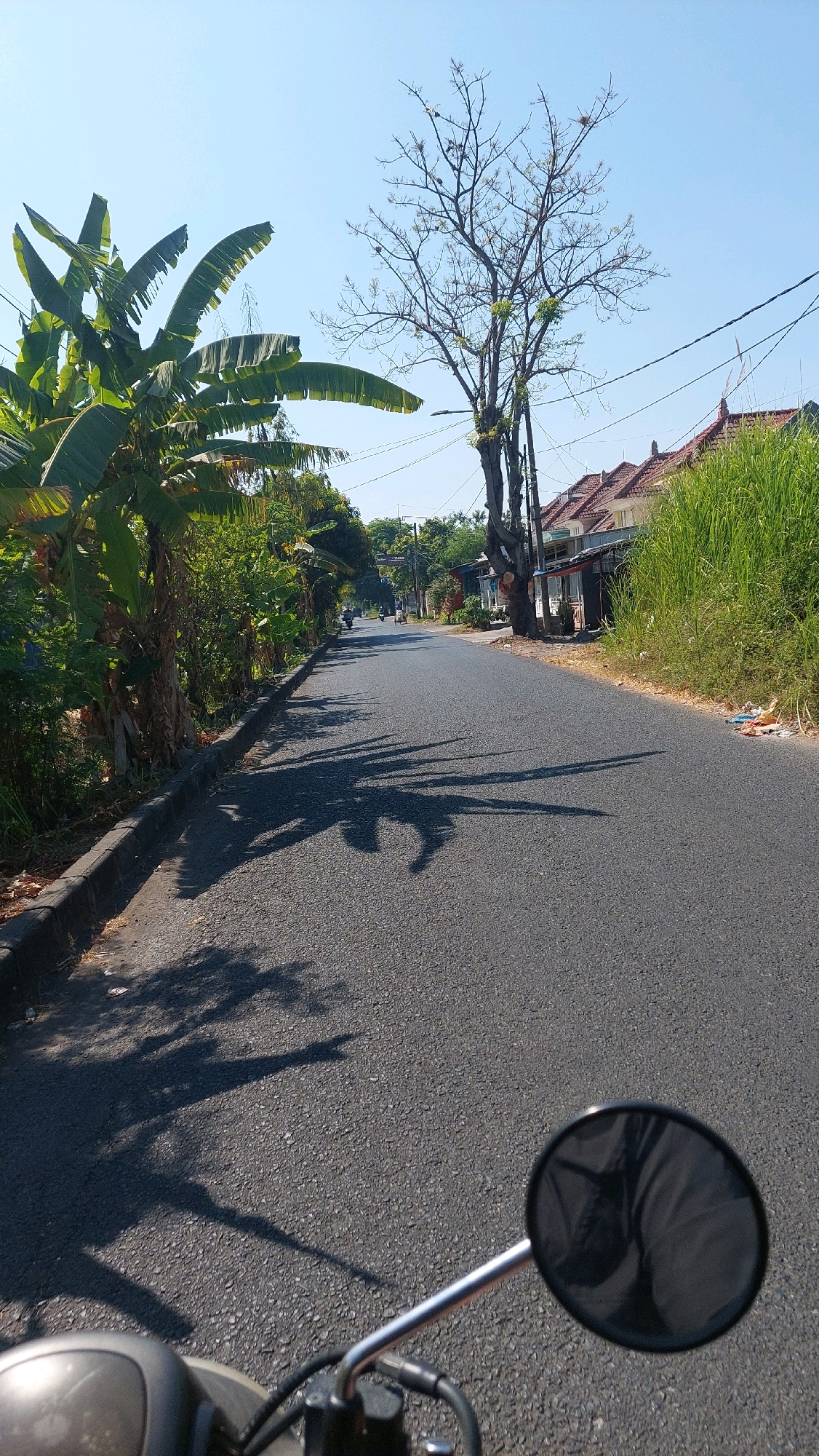 The image depicts a paved road in Sidoarjo, Indonesia, likely in a residential or semi-rural area, on a sunny day. The perspective is from a motorcycle, as indicated by the handlebars and rearview mirror in the foreground. Banana trees and other lush vegetation line the left side of the road, casting long shadows across the asphalt. A leafless tree with several bird nests is prominent in the middle ground, with utility poles and wires visible behind it. On the right side, houses with terracotta roofs and tall grass suggest a built-up environment. In the distance, a few motorcycles can be seen on the road, indicating a moderate level of activity. The sky is clear and blue.