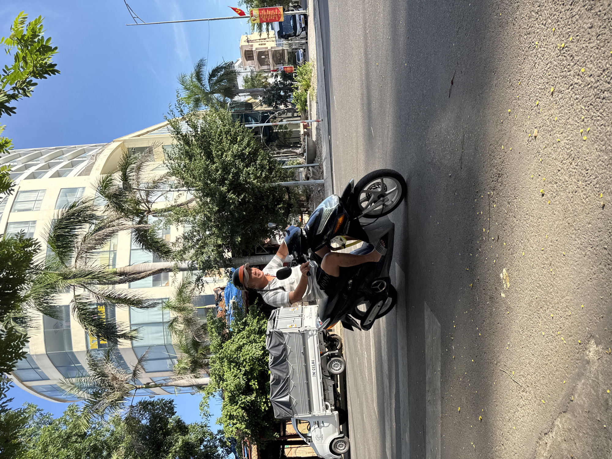 A man is riding a black scooter across a crosswalk in Nha Trang, Vietnam. He is wearing a white and grey striped polo shirt, black shorts, a visor, and sandals. He is looking towards the right side of the frame. In the background, a white delivery truck with a grey tarp covering its cargo is parked. Behind the truck, lush green trees and a tall, curved, modern building with many windows are visible. The sky is clear and blue, and the sun is casting shadows on the asphalt road. The road has visible yellow and white painted lines for the crosswalk. There are small yellow flower petals scattered on the road surface.