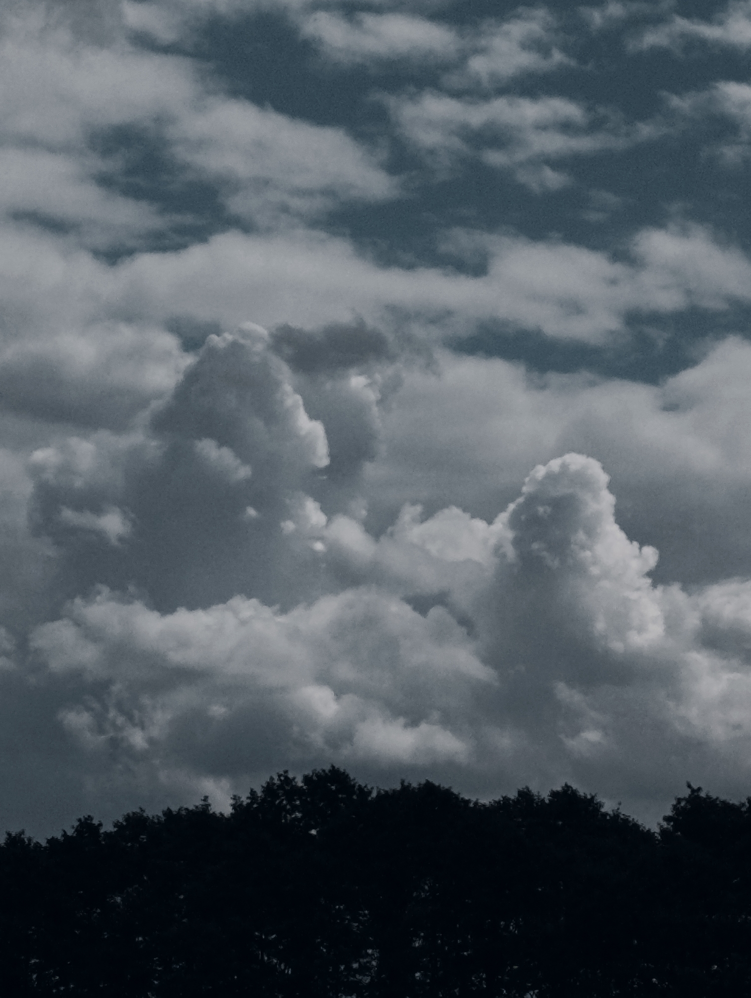 The image shows a dark, silhouetted tree line in the foreground, with a cloudy sky filling the rest of the frame. The clouds are dense and varied in texture, with some appearing bright and puffy, while others are darker and more textured. The overall mood is somber and dramatic, with the dark foreground contrasting sharply with the lighter sky. There are no people or buildings visible in the image. The location is unspecified, but the description of Minsk, Belarus is not supported by any visual evidence in the image.