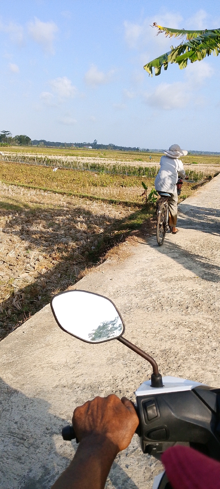 A first-person perspective shot from a motorcycle shows a person cycling on a paved path through a rural landscape. The cyclist, facing away from the camera, wears a light-colored shirt, light-colored pants, and a wide-brimmed hat. They are riding a bicycle with a basket on the back. The path is bordered by dry agricultural fields, with stubble from harvested crops visible. In the distance, more fields stretch towards a line of trees and a few buildings. The sky is blue with scattered white clouds. Banana leaves hang from the top right of the frame. The motorcycle's handlebar and rearview mirror are in the foreground, along with a hand gripping the handlebar. The scene appears to be in Geblug, Indonesia.