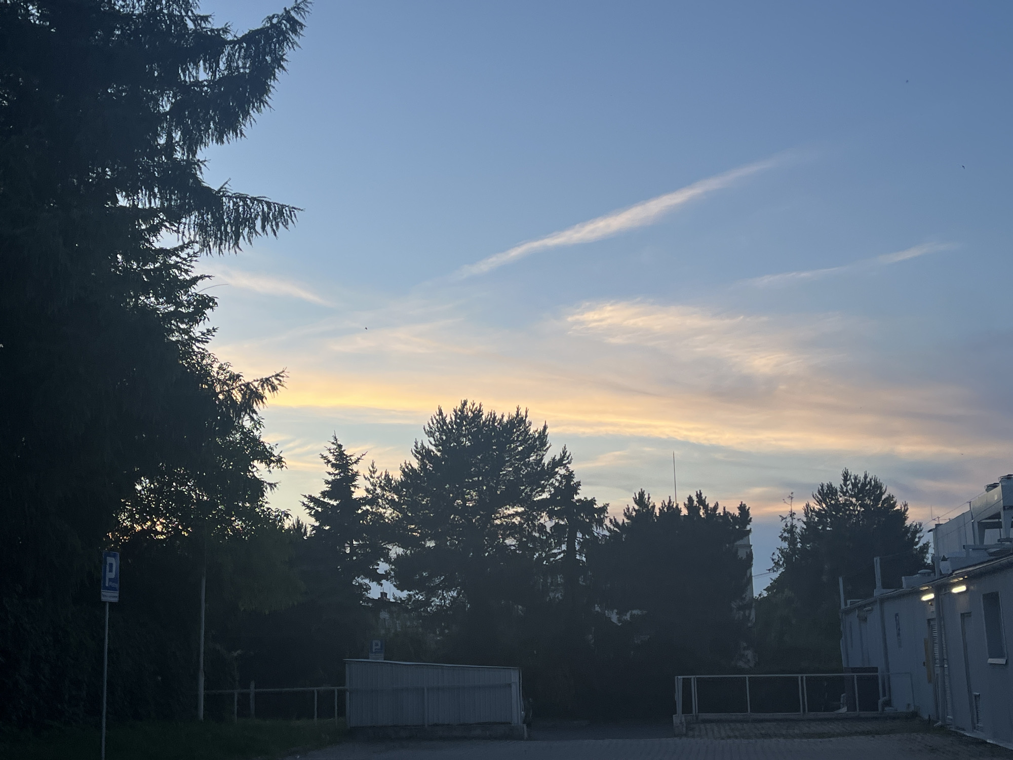 This is an outdoor, eye-level, wide shot of a parking lot and some buildings silhouetted against a twilight sky. The sky is a gradient of blue, with streaks of pale orange and pink from the setting sun. Tall, dark green trees line the back of the parking lot, with some buildings visible between them. A blue and white parking sign is visible on the left side of the image. The ground in the foreground is paved.