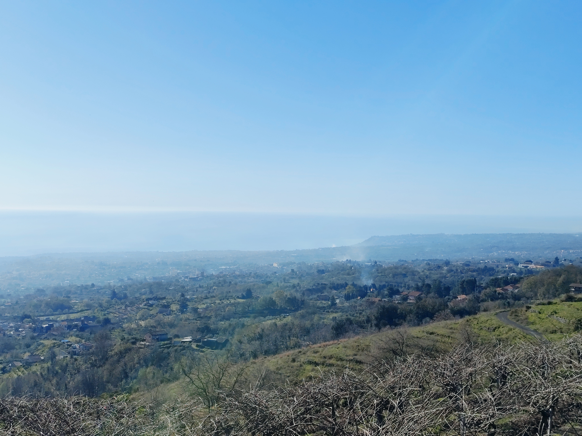 The image depicts a broad, elevated view over Giarre, Italy. The sky is a clear, light blue, transitioning into a pale, hazy horizon where the land meets the sea. Below the horizon, the landscape unfolds into a mix of urban and rural areas, with buildings interspersed among trees and vegetation. The foreground is dominated by a tangle of bare branches and vegetation on the hillside where the photo was taken. A road or path meanders along the hillside. The scene is bathed in daylight, contributing to the hazy atmospheric conditions. No people are visible in the image.