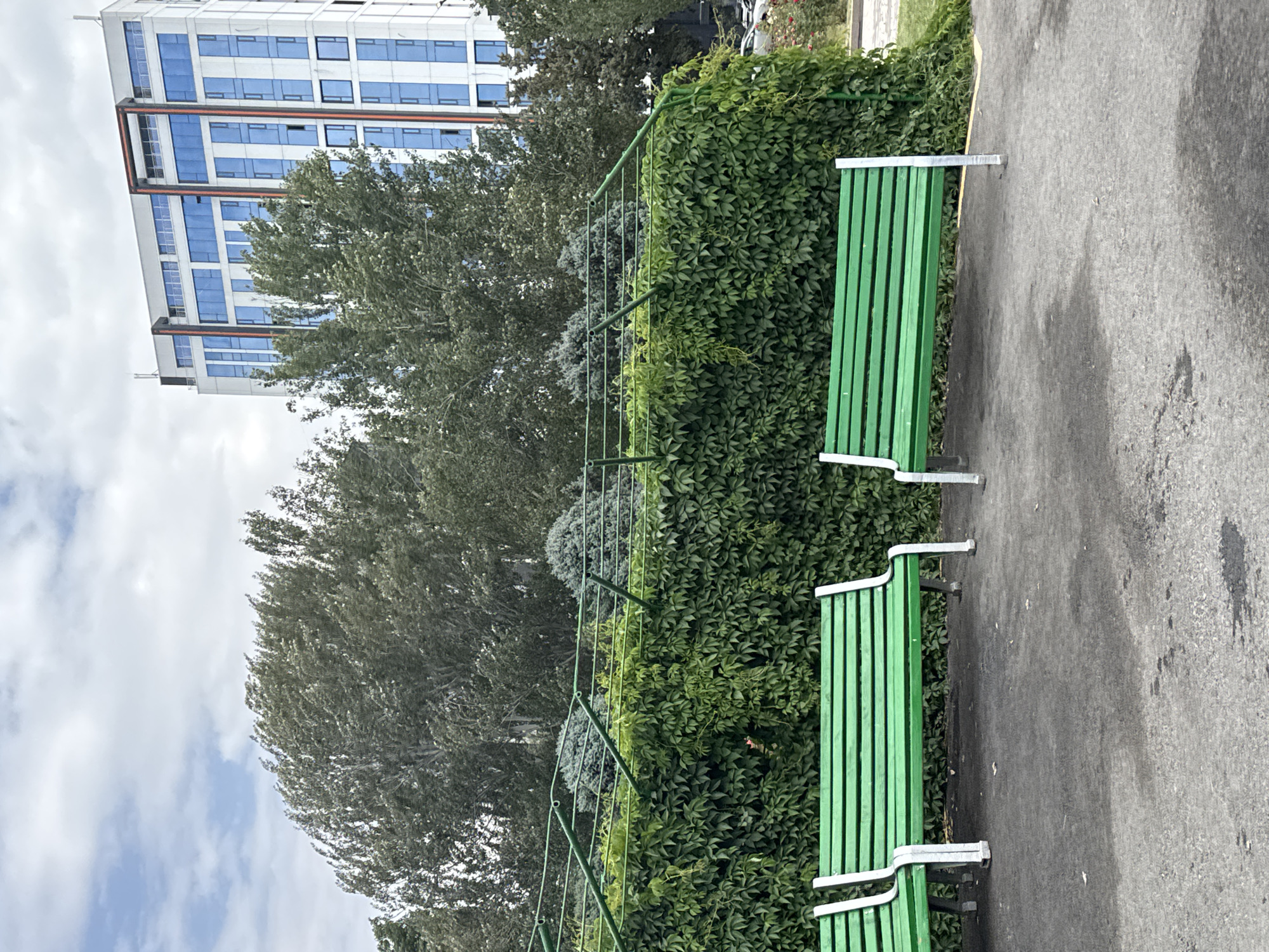 In Bishkek City, Kyrgyzstan, an outdoor scene features two vibrant green park benches with white metal accents positioned on a dark asphalt ground. Behind the benches, a dense green hedge forms a lush wall, draped over a green metal trellis. Beyond the hedge, a line of trees stands tall, their foliage appearing windswept. Further in the background, a modern, multi-story building with a white facade and prominent blue windows dominates the skyline, with glimpses of a cloudy sky overhead. The overall impression is one of an urban park or public space with a blend of natural elements and modern architecture.