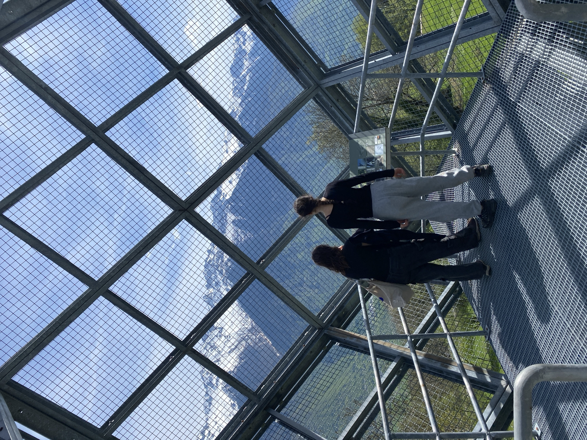 The image captures two individuals standing on an elevated observation platform made of a grid of metal beams and wire mesh, overlooking a vast mountainous landscape. The platform features a metal gridded floor and a similar mesh construction for the ceiling and walls, providing an open yet secure environment for viewing.
One person, wearing light-colored trousers and a dark top, stands towards the right side of the frame, facing away from the camera and appearing to observe the scenery. The second person, dressed in dark attire, is positioned slightly to the left and behind the first, also seemingly enjoying the panoramic view.
Through the mesh and structural elements, distant mountains with patches of white (likely snow or ice) are visible under a bright, clear blue sky with a few scattered clouds. Closer to the platform, lush green slopes and trees suggest a vibrant natural setting. The strong sunlight creates clear shadows on the metal grid floor, indicating a daytime scene, most likely midday given the intensity of the light.
An informational display board, containing small images and text that are not legible, is mounted on a stand to the right, suggesting a point of interest or educational display for visitors. The scene evokes a sense of awe and appreciation for nature, common for a scenic overlook in a mountainous region like Saint-Georges-d'Hurtières, France. The metal structure itself is a prominent feature, guiding the viewer's gaze towards the distant views.