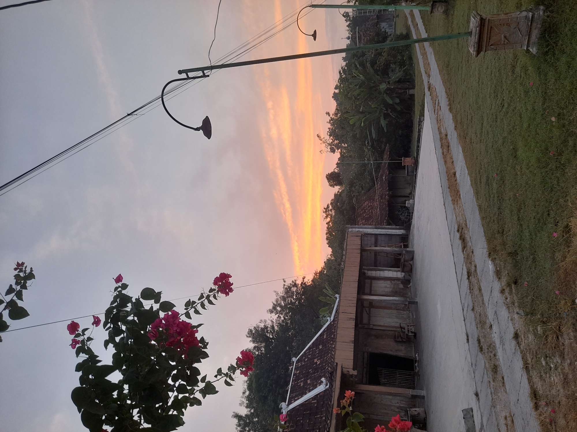 The image depicts a rural scene at dusk in Pulokulon, Indonesia. In the foreground, a paved area leads towards a traditional Indonesian house with a tiled roof and wooden walls. Blooming pink bougainvillea flowers hang from a branch in the upper left corner. A concrete path runs alongside a grassy area with two streetlights on poles. The sky is a soft gradient of orange and pink, indicating the setting sun. Dense foliage and trees form a backdrop behind the house and across the horizon. The overall atmosphere is peaceful and serene, capturing a moment of twilight in a tranquil, natural environment.