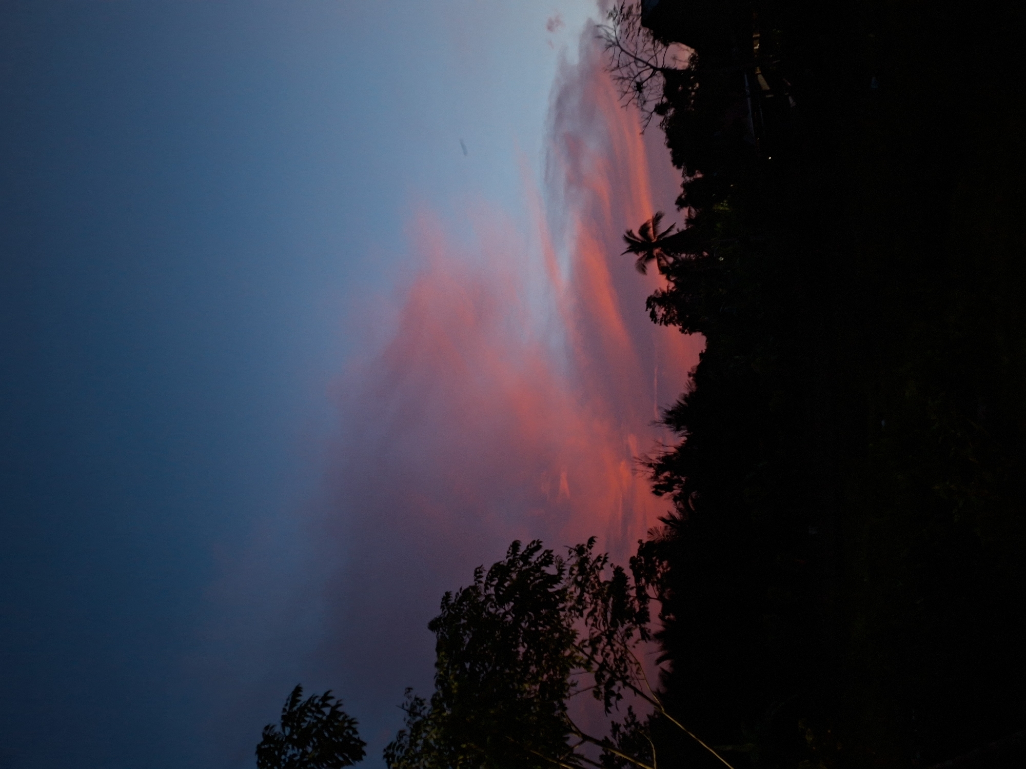 This is an outdoor, low-angle shot of a tropical sky at dusk, with a dark silhouette of trees and vegetation in the foreground. The sky is a gradient of deep blue at the top, transitioning to vibrant pink and red hues where the clouds are illuminated by the setting sun. A few scattered clouds are visible, catching the light. The foliage below is almost entirely black, obscuring details of specific plants or landforms. The scene suggests a rural or natural setting outside of the main urban area of Lhokseumawe, Indonesia, possibly a coastline or park area.