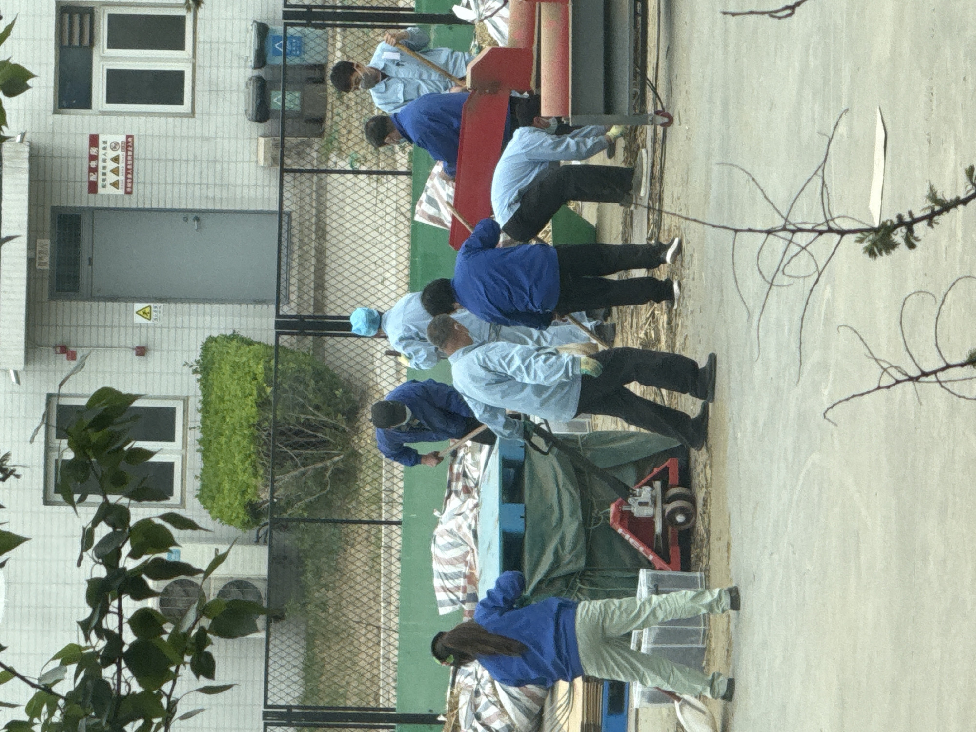 In Daxing District, China, a group of at least eight people are engaged in an outdoor task near a light-colored building with windows, an entrance door, and warning signs. The building also has air conditioning units installed on the wall. A chain-link fence separates the workers from the building. Some workers wear blue shirts, while others wear light blue shirts. Most have on dark pants, while at least one wears light-colored pants. They appear to be using tools near some equipment covered by a green tarp. A red cart is visible near the tarp. Branches and leaves are present in the foreground, partially obscuring the view.
