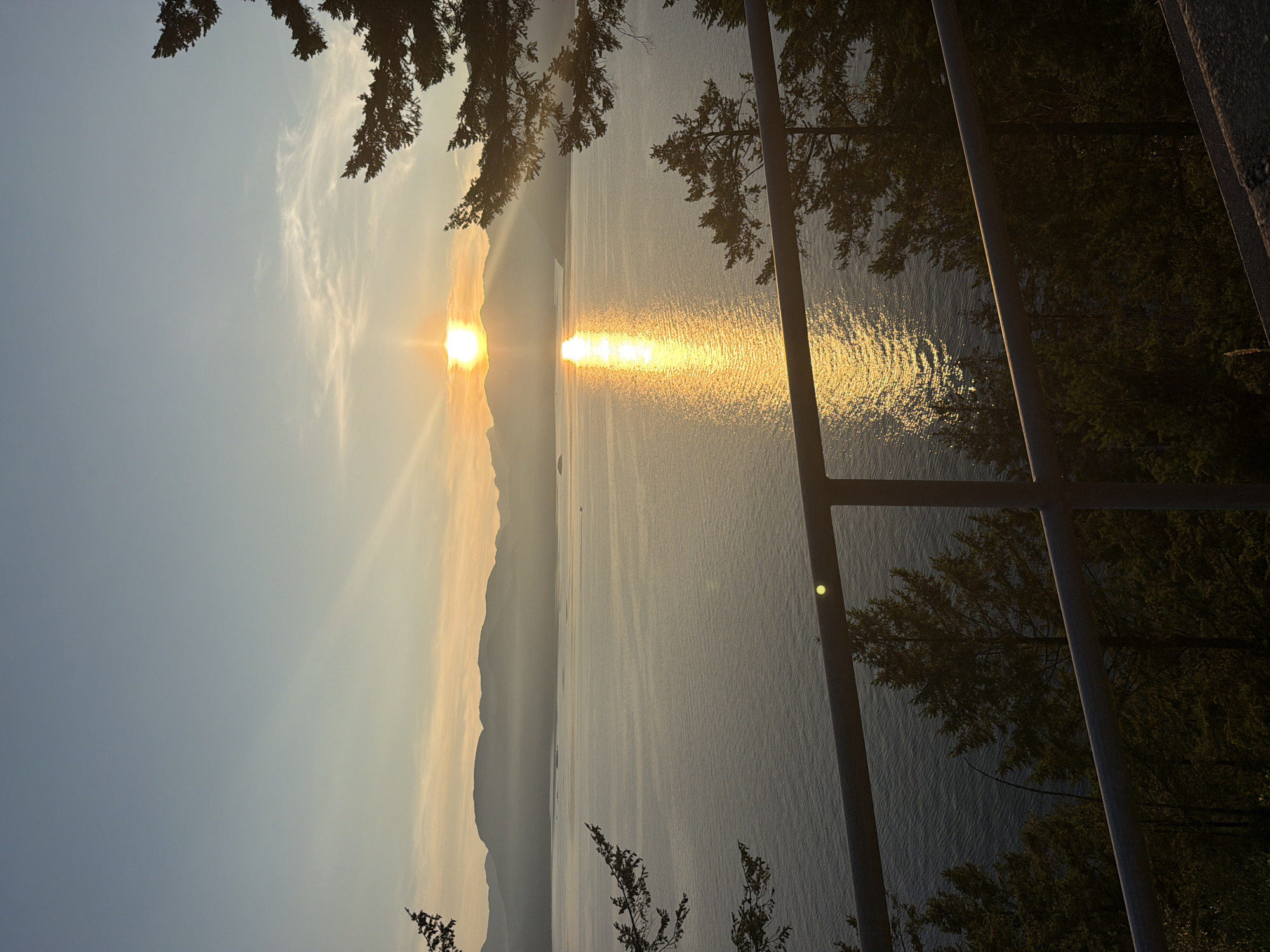 A tranquil, panoramic view captures a serene sunset over a body of water, with silhouetted mountains in the distance. The sun, a bright orb, casts a shimmering golden path across the water's surface. Tall evergreen trees, silhouetted against the sky, frame the scene from the foreground and sides. A grey metal railing runs across the bottom of the frame, partially obscuring the view of more trees and a textured ground surface. The sky is a soft gradient of blues and yellows, with wispy clouds adding subtle texture. The overall atmosphere is peaceful and natural, suggesting a remote, scenic location. The location is Area D (Elaho/Garibaldi), Canada.