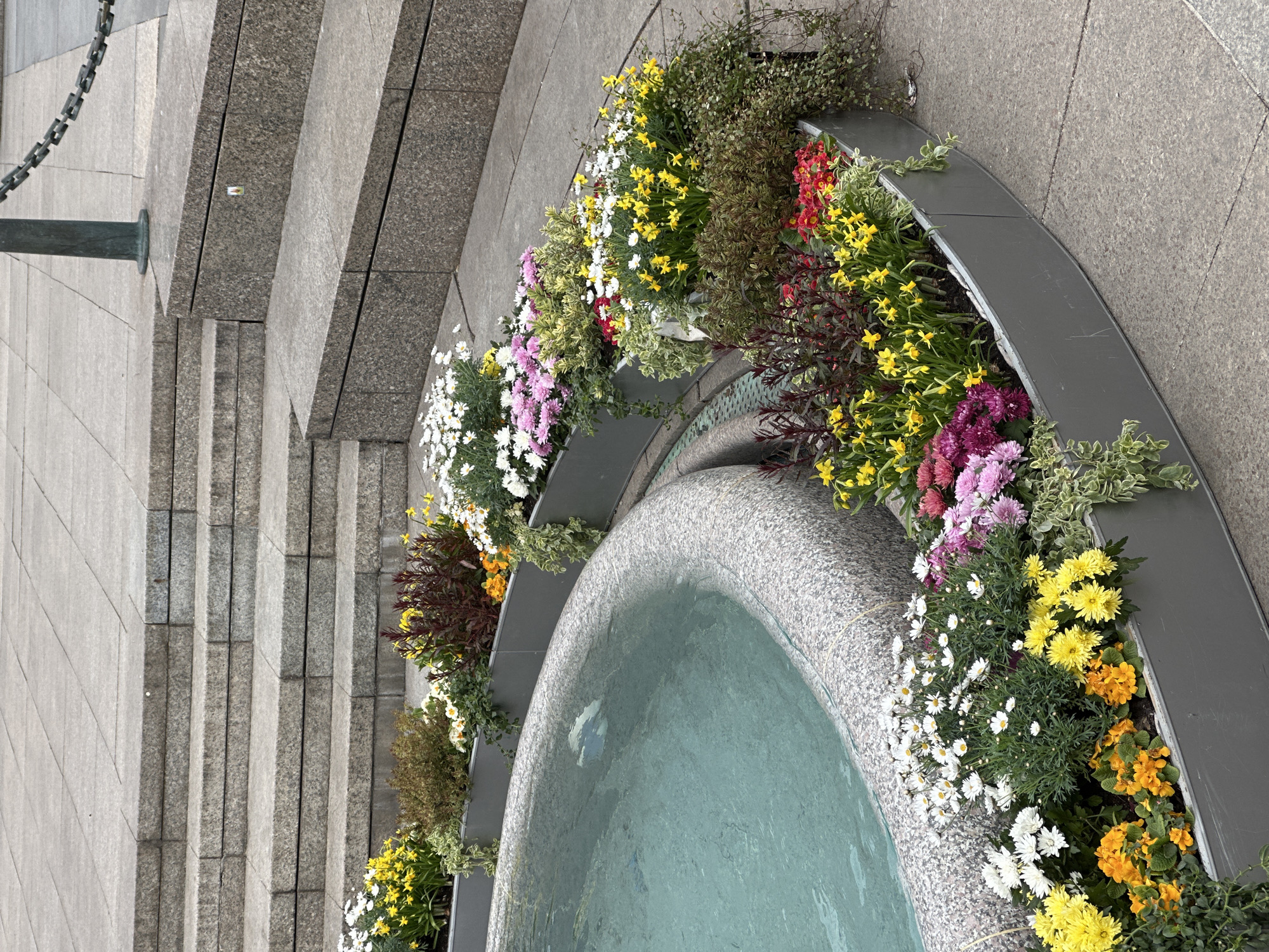 The image shows a tiered fountain in City of Zagreb, Croatia. The fountain is circular with a gray stone basin filled with water. Around the basin are planters with colorful flowers including white daisies, yellow daffodils, red primroses, and purple chrysanthemums. The planters are enclosed by gray metal edging. Next to the fountain are gray stone steps leading up. A metal chain and post are visible next to the steps. The environment is urban, suggesting the fountain is located in a public space.