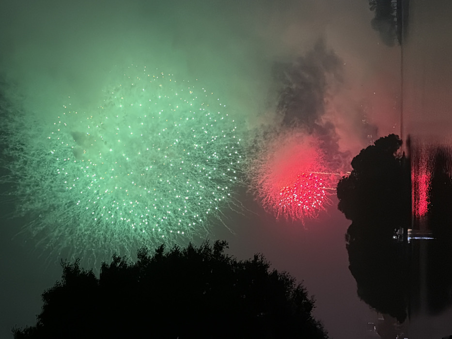 Fireworks burst in the night sky over a body of water. A large green burst dominates the left side, while a smaller red burst appears on the right. Dark silhouettes of trees are visible in the foreground and along the water's edge. Reflections of the fireworks shimmer in the water, adding to the spectacle. Smoke partially obscures the sky.