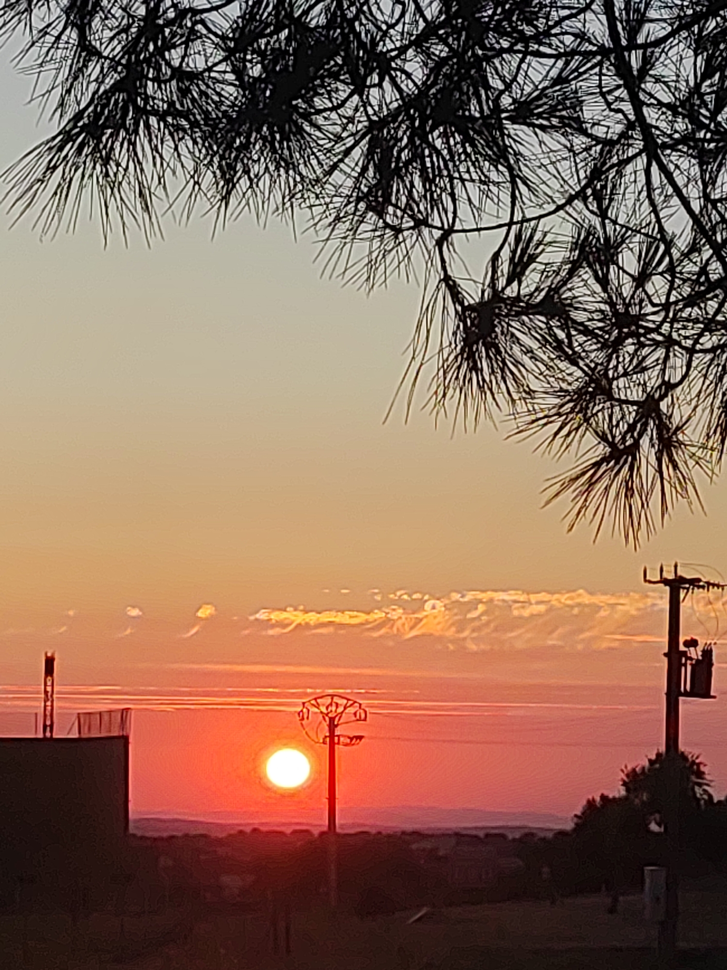 A sunset is depicted in this vertical, eye-level shot, with pine needles silhouetted against the dusky sky in the foreground. The sun, a bright orb of light, is low on the horizon, casting a warm glow over the landscape. In the mid-ground, a utility pole with electrical equipment stands to the right, and to the left, a dark, flat-topped building with a railing. Silhouetted trees and the undulating terrain of Sobradillo, Spain, form the distant background. The sky is painted in hues of orange and yellow, with wisps of clouds catching the last rays of sunlight.