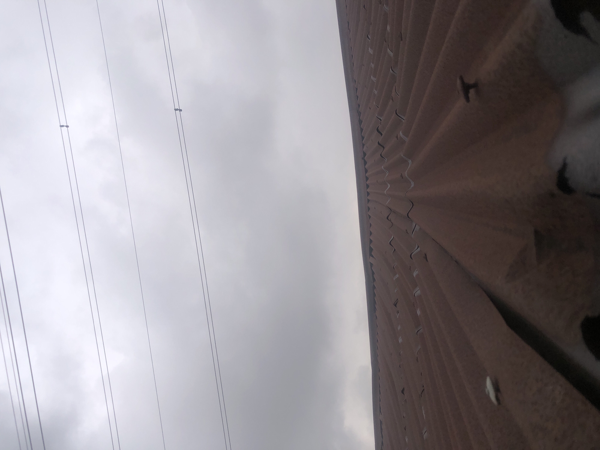 The image shows a view from a low angle looking up at a corrugated metal roof. The roof is reddish-brown and appears aged, with some rust visible. Above the roof, there are several power lines stretching across a cloudy, overcast sky. The environment suggests an urban or semi-urban setting, likely in Ado, Nigeria, given the prompt's context, where such roofing and overhead power lines are common. There are no people or any discernable actions taking place. The scene is static and captures a moment of mundane infrastructure under a gray sky.