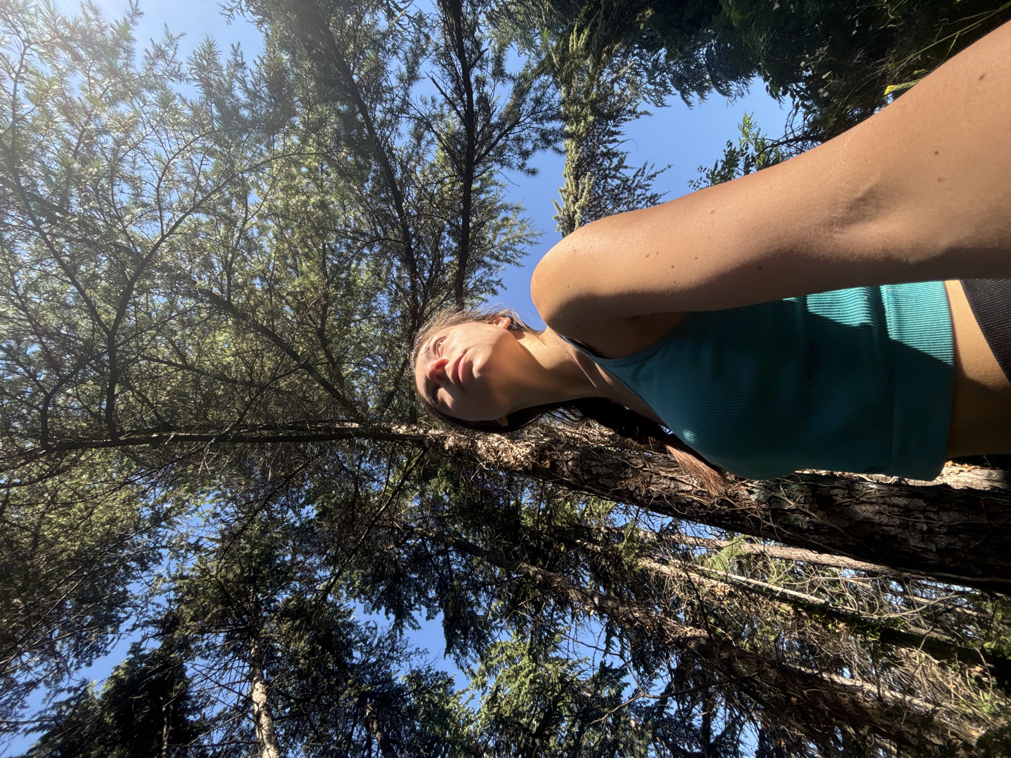 The image shows a young woman from the chest up, looking upwards into the canopy of tall pine trees. She is wearing a teal-colored tank top and has a braid in her hair. The sun is shining brightly through the trees, creating dappled light. The background is a clear blue sky, suggesting an outdoor setting. The woman appears to be in a forest or park.
The provided metadata does not contain information about the location being Varna, Bulgaria. Therefore, I cannot confirm or deny this detail.