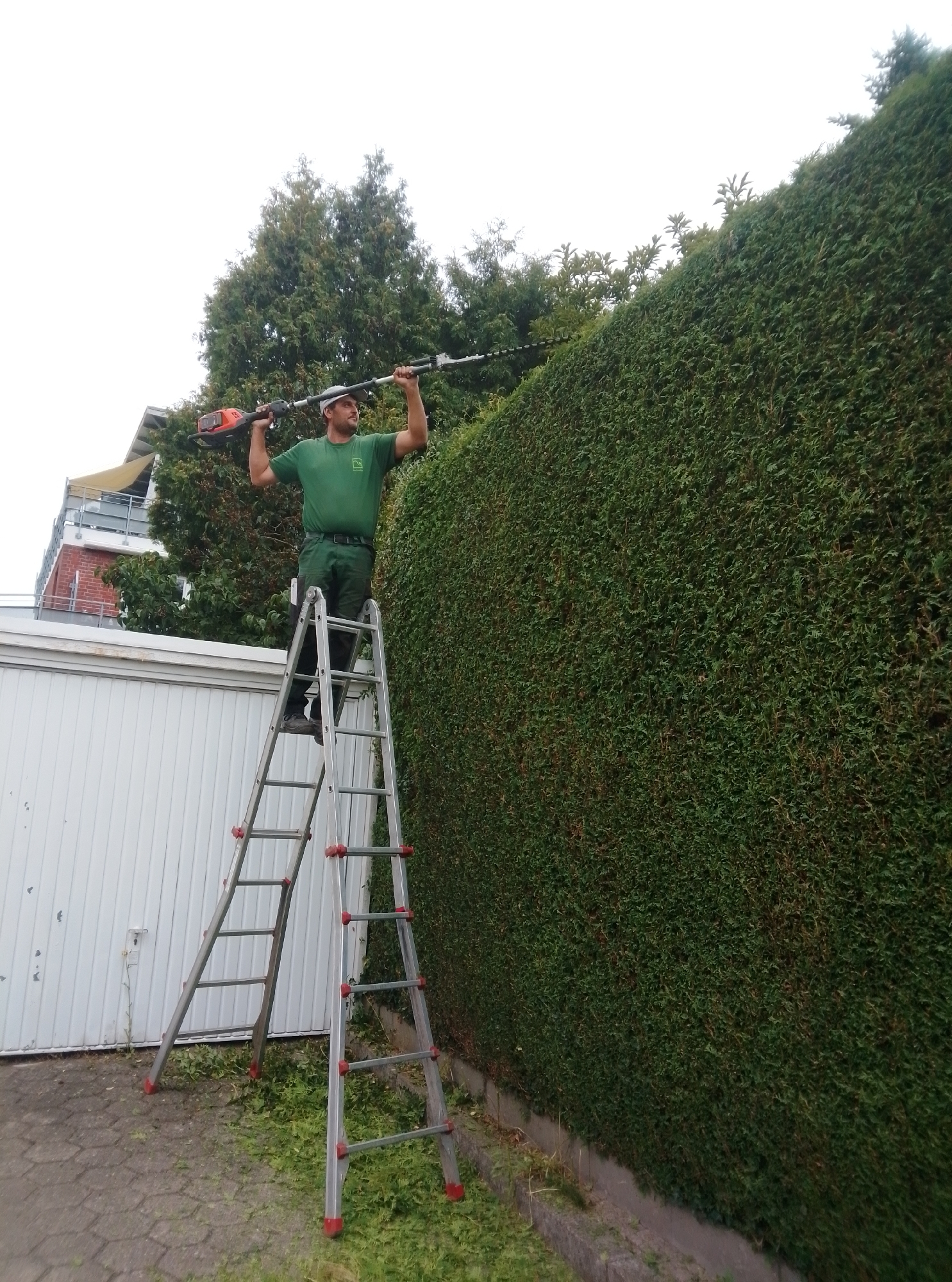 A man wearing a green uniform and a cap stands on a silver ladder, trimming a tall, dense green hedge with a hedge trimmer. The hedge is the dominant element in the foreground and stretches across the right side of the frame. Behind the hedge, a large, modern building with a balcony and tan awning is visible, suggesting an urban or suburban setting. To the left of the hedge, a white garage door is visible. The ground in front of the garage is paved with grey cobblestones, and a scattering of green trimmings from the hedge lies on the ground. The sky is overcast and white, indicating a cloudy day. The scene appears to be in Wedel, Germany, given the context of previous interactions.