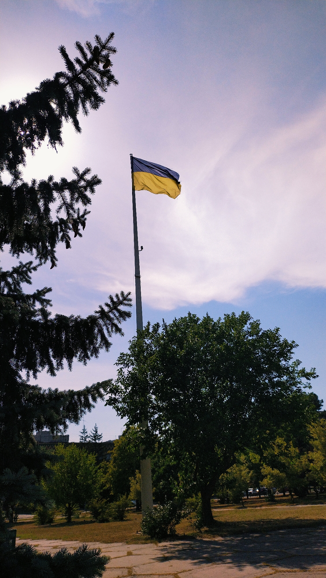 A Ukrainian flag, with its blue and yellow horizontal bands, waves from a tall flagpole in a park area. The flag is positioned in the upper-middle section of the image, against a sky with scattered clouds. In the foreground and to the left, the dark green, needle-covered branches of a fir tree create a silhouette. To the right of the flagpole, a mature deciduous tree with dense green foliage stands tall. The ground is paved with concrete slabs, some of which are cracked, and is bordered by dry grass. In the background, beyond the trees and a low fence, a few buildings and trees are visible, suggesting an urban or suburban setting. There are no people visible in the image. The scene appears to be a public park in the city of Horishni Plavni, Ukraine.