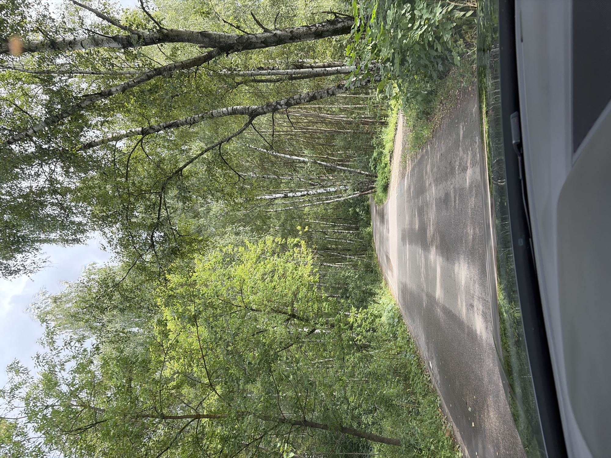The image shows a view from inside a vehicle, looking forward through the windshield. A paved road curves through a dense forest of predominantly birch and other deciduous trees. The trees are lush green with leaves, and the sun is filtering through the canopy, creating dappled light and shadows on the road. The road surface appears damp, with some patches of dry, dusty material. On the left side of the road, thick undergrowth and vegetation line the edge. On the right, the forest also presses close to the road. The sky above is partly cloudy. The scene suggests a drive on a country road or through a park. The location is the city of Imeni Vorovskogo, Russia, characterized by its natural, wooded environment.