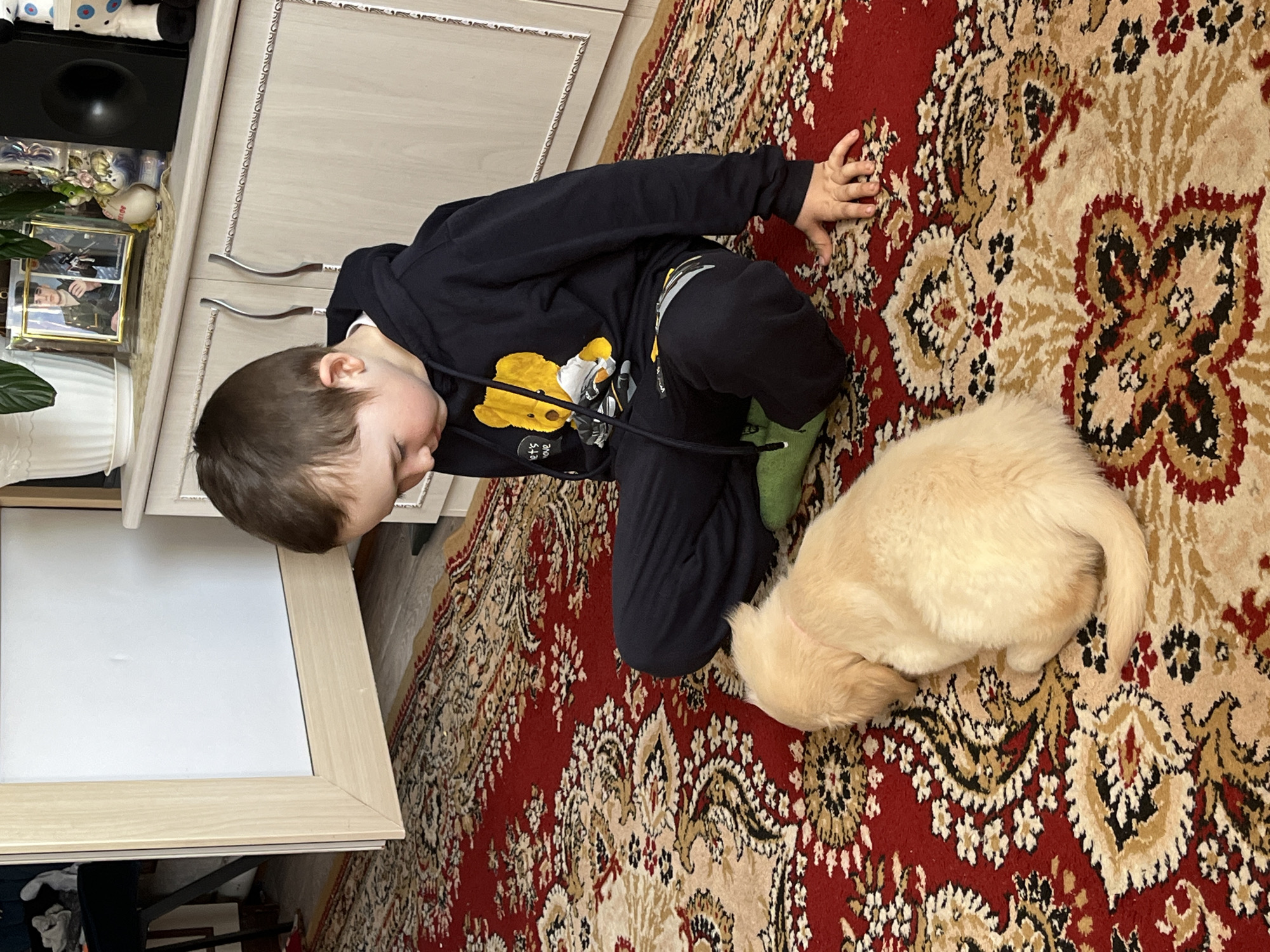 A young child in a black hooded sweatshirt and black pants kneels on a patterned rug, reaching towards a light-colored puppy next to them. The rug is predominantly red with intricate beige and black designs. The child is close to a light-colored table or desk with a white surface. Adjacent to the table, a cabinet or shelf unit is visible, holding items like a framed picture and various decorative objects. The location is Irdugan, Russia.