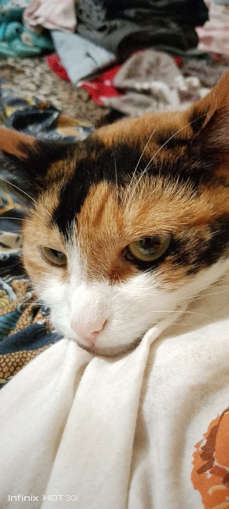 A close-up, eye-level shot focuses on the face of a calico cat, which is resting its head on a white cloth. The cat's fur is a mix of orange, black, and white. Its eyes are partially closed, with green irises. The cat's pink nose is visible, and its whiskers extend outwards. The background is blurred, showing a patterned fabric with colors of blue, red, and brown. The scene appears to be indoors, possibly on a bed or sofa, given the presence of soft fabrics. A watermark at the bottom reads "Infinix HOT 30i".