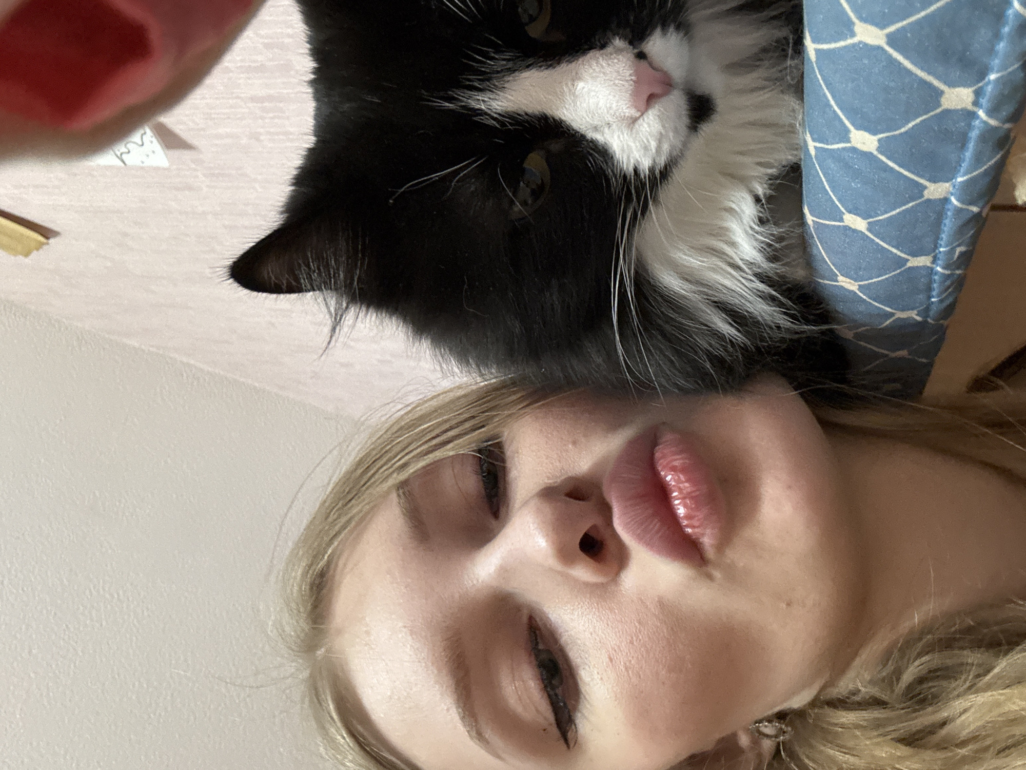 A selfie-style image depicts a blonde woman with full lips alongside a black and white cat. The woman's face is prominently in the foreground, with her head tilted. The cat is positioned above her head, nestled next to a blue and white patterned cushion. The location of Perm, Russia is not evident from the image.