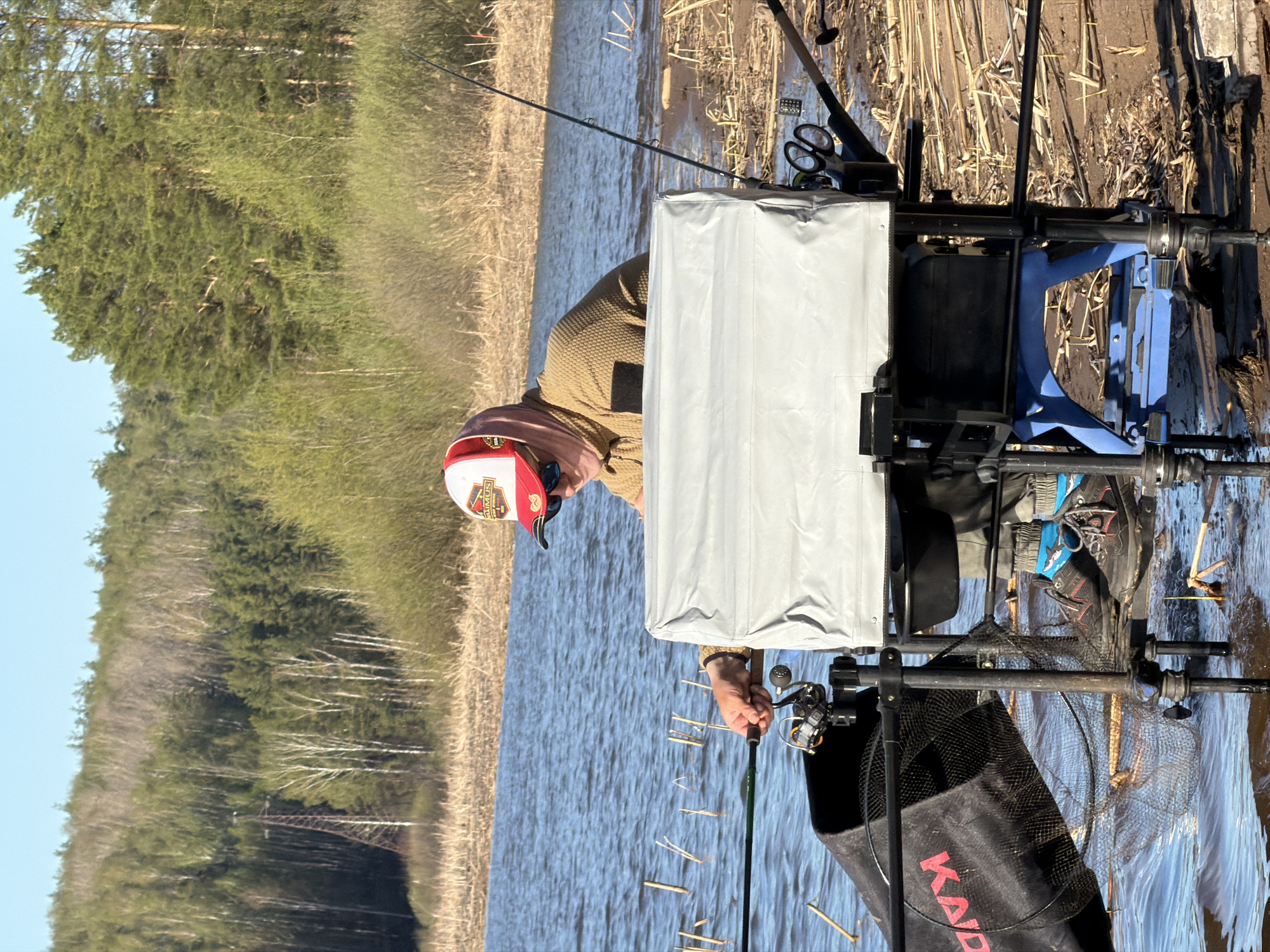 A man wearing a red and white cap and a tan jacket is fishing on a lake. He is sitting on a blue and black fishing chair with a white storage box in front of him. The fishing rod is in his hands, and the line is in the water. A black net bag is hanging off the chair. The lake is surrounded by trees and tall grasses. There are dead reeds floating in the water. The location is likely the city of Chaykovsky, Russia.