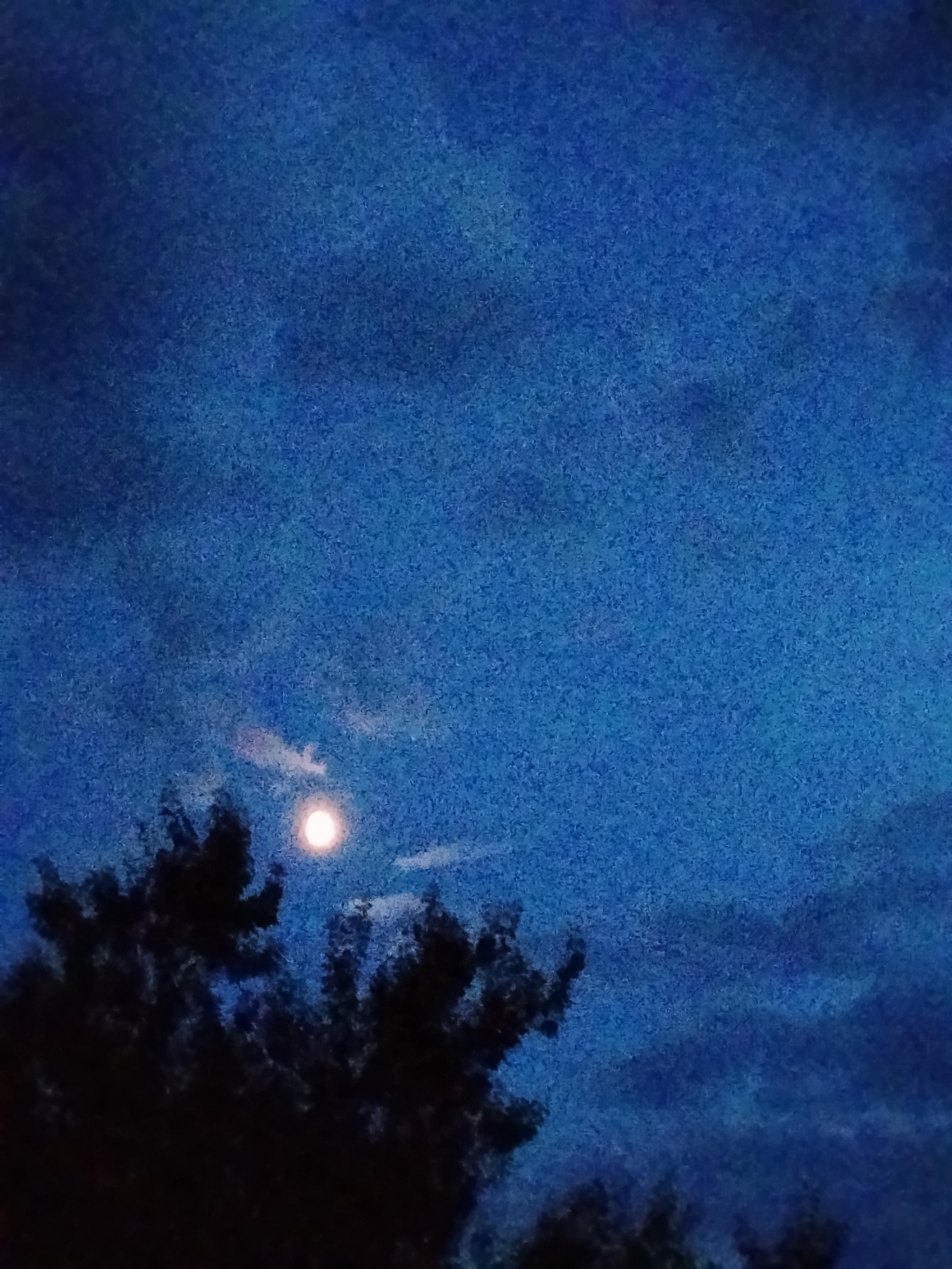 A photograph captures a nighttime scene in Ustyvytsia, Ukraine, with a bright full moon visible in a dark blue, cloudy sky. The moon is surrounded by wisps of clouds, and a large silhouette of trees occupies the lower portion of the image. The overall atmosphere is dark and serene, indicative of a clear night with moonlight illuminating the landscape.