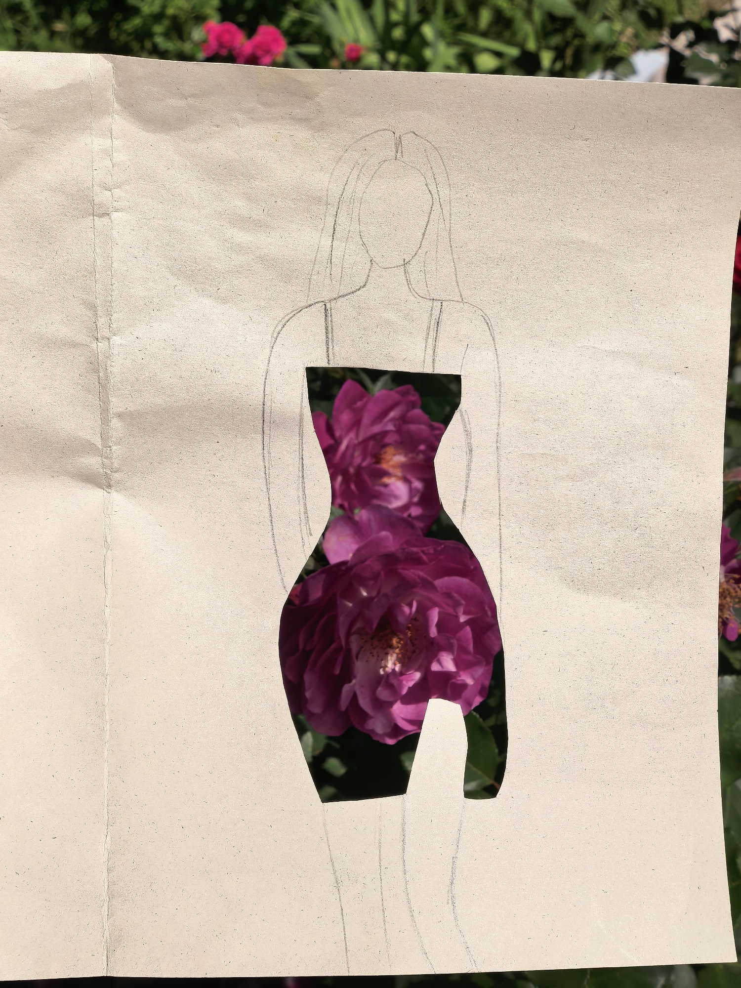 The image is a top-down, eye-level, medium shot of a piece of light brown paper with a silhouette of a female figure drawn on it in charcoal or pencil. The paper has been cut out to reveal a vibrant image of pink roses behind it, which appear to be growing outdoors. The cut-out silhouette is shaped like a dress, with the roses filling the space where the dress would be. The background of the image is a blur of green foliage and pink flowers, suggesting a garden setting. The paper is creased and wrinkled, indicating it has been handled. The lighting suggests it is daytime, possibly sunny, given the shadows cast on the paper. There are no people visible in the image. The location in Sterlitamak, Russia is not specified.
