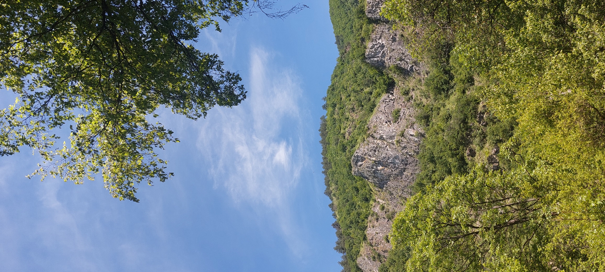 The image shows a view from below, looking up at a rocky cliffside covered with trees on the right, a tree canopy to the left, and a blue sky with wispy clouds in the center. The trees are green and full of leaves, indicating it is likely spring or summer. The location is likely Bachkovo, Bulgaria, known for its cliffs and forested hills. There are no people visible.
