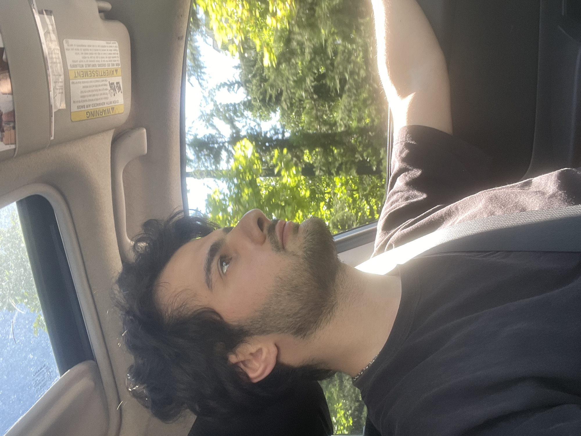 A young male with dark, curly hair and a light beard is driving a car, looking out the passenger window at a sun-drenched forest. He is wearing a dark t-shirt and a silver chain necklace. The car's sunroof is open, and sunlight streams in. The visor above the windshield has warning labels in English and French. The image appears to be taken from the driver's perspective, looking towards the passenger side and out the window. The background is filled with lush green trees and bright sunlight, suggesting a warm, clear day. There is no information in the image to suggest the location is Tbilisi, Georgia.