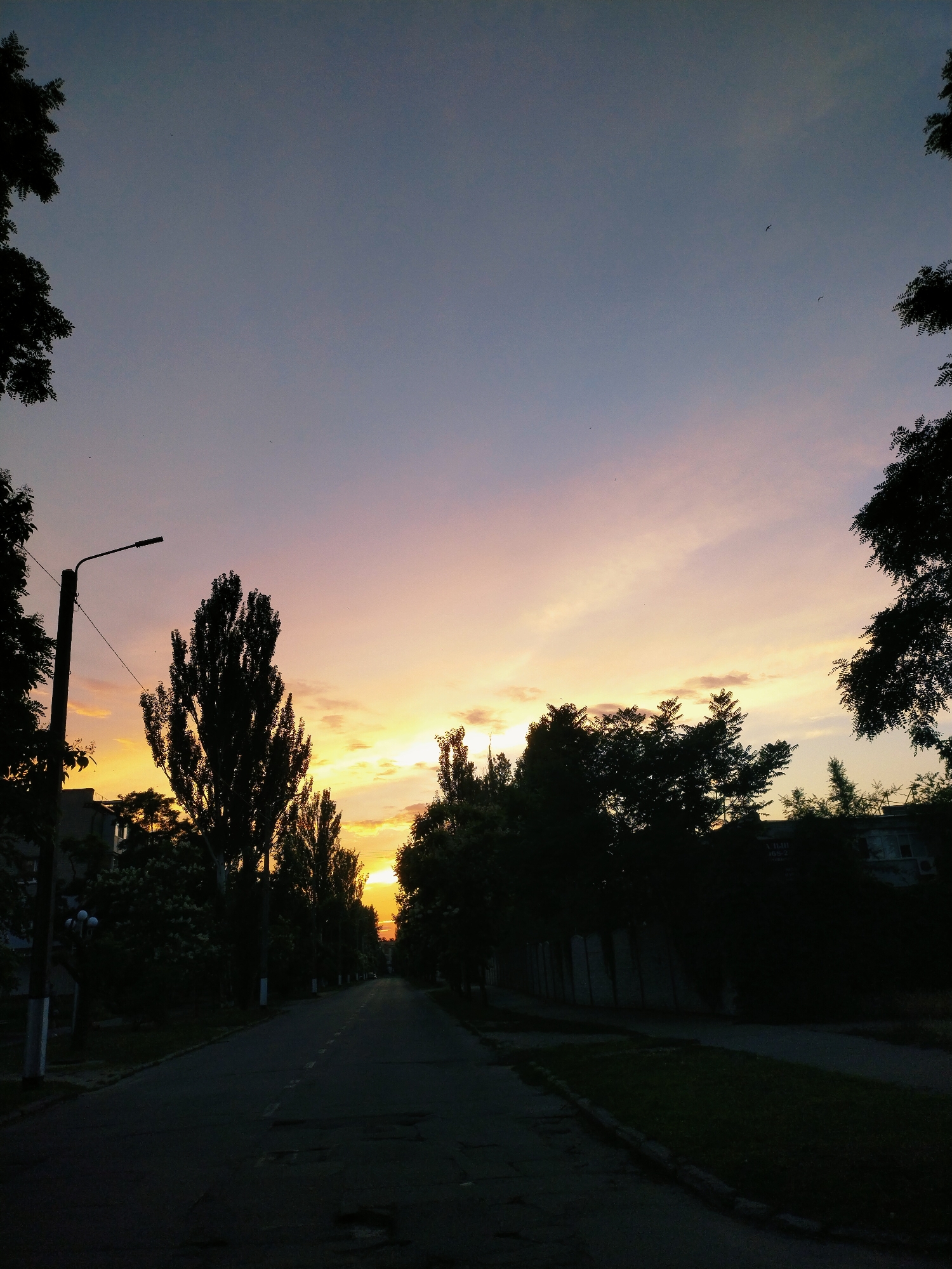 The image captures a serene sunset scene on a street in Horishni Plavni, Ukraine. The sky displays a gradient of colors, transitioning from a soft lilac and pale pink at the top to a warm orange and yellow near the horizon, indicating either sunrise or sunset. Wispy clouds are scattered across the sky, catching the twilight hues.
The foreground is dominated by a dark asphalt road, which appears somewhat worn with visible cracks and patches. The road stretches into the distance, lined with silhouettes of tall, slender trees. To the left of the road, a lamppost stands tall, its dark silhouette stark against the vibrant sky. Beyond the trees on the left, some buildings are partially visible, also in silhouette.
On the right side of the road, a low wall or fence runs along the length, partially obscured by dense foliage and trees. The overall impression is one of a quiet, urban street bathed in the gentle light of dusk or dawn. The presence of trees suggests a residential or park-like area within the city. The silhouettes and the subdued lighting create a peaceful and slightly melancholic atmosphere. There are no people visible in the frame. The time of day is clearly either early morning or late evening, with the weather appearing clear and calm. No visible text is present in the image.