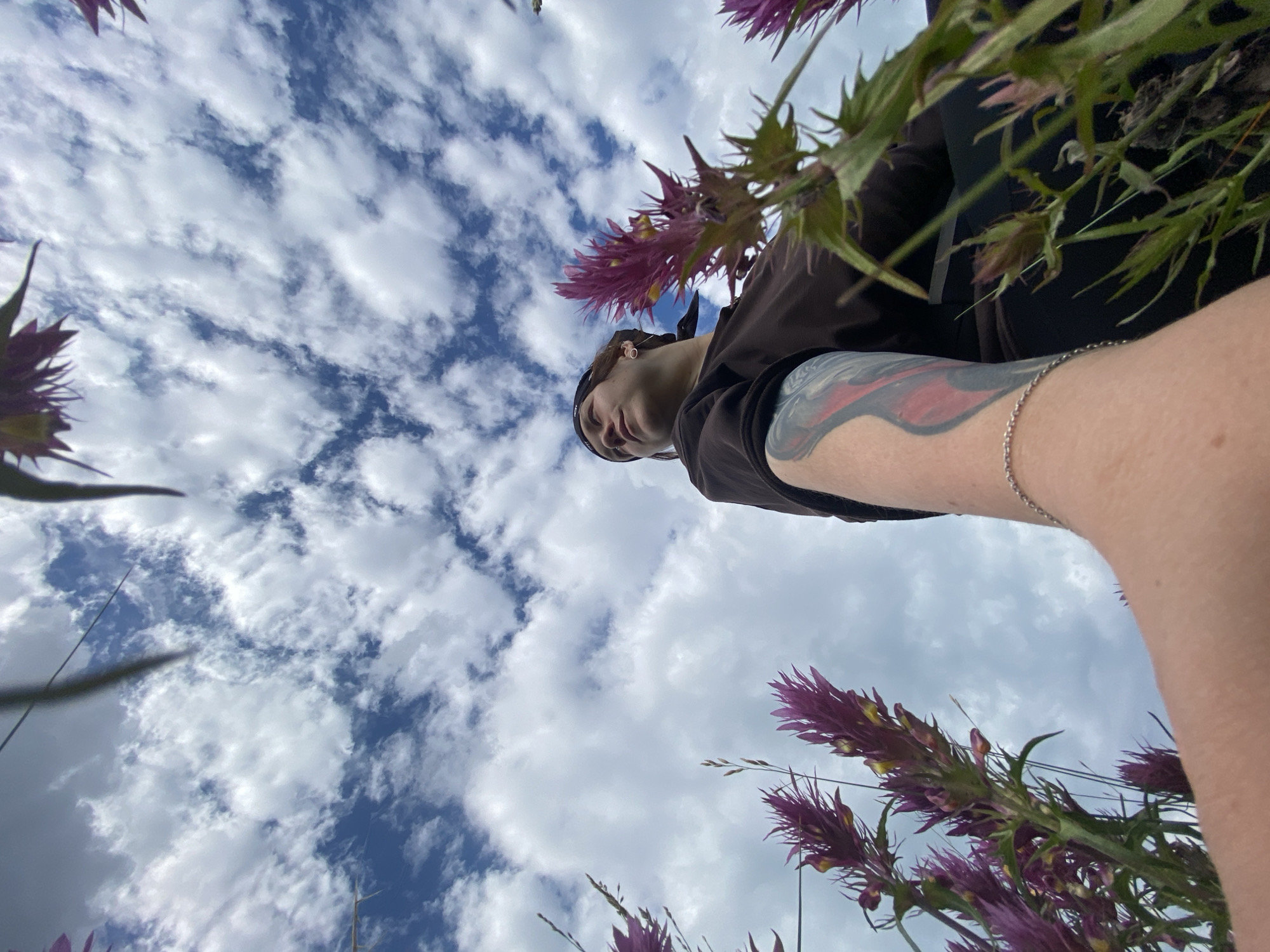 A low-angle, wide shot captures a person from the chest up, looking upwards to their left. The person is wearing a dark brown t-shirt and a black bandana. A tattoo is visible on their left forearm. A thin silver chain bracelet is worn on their right wrist. In the foreground and framing the shot, several tall, purple flowers with spiky heads are in bloom, some reaching towards the sky. The background consists of a bright blue sky filled with fluffy white clouds. The scene appears to be outdoors, possibly in a field or natural area within Абзаново, Russia.