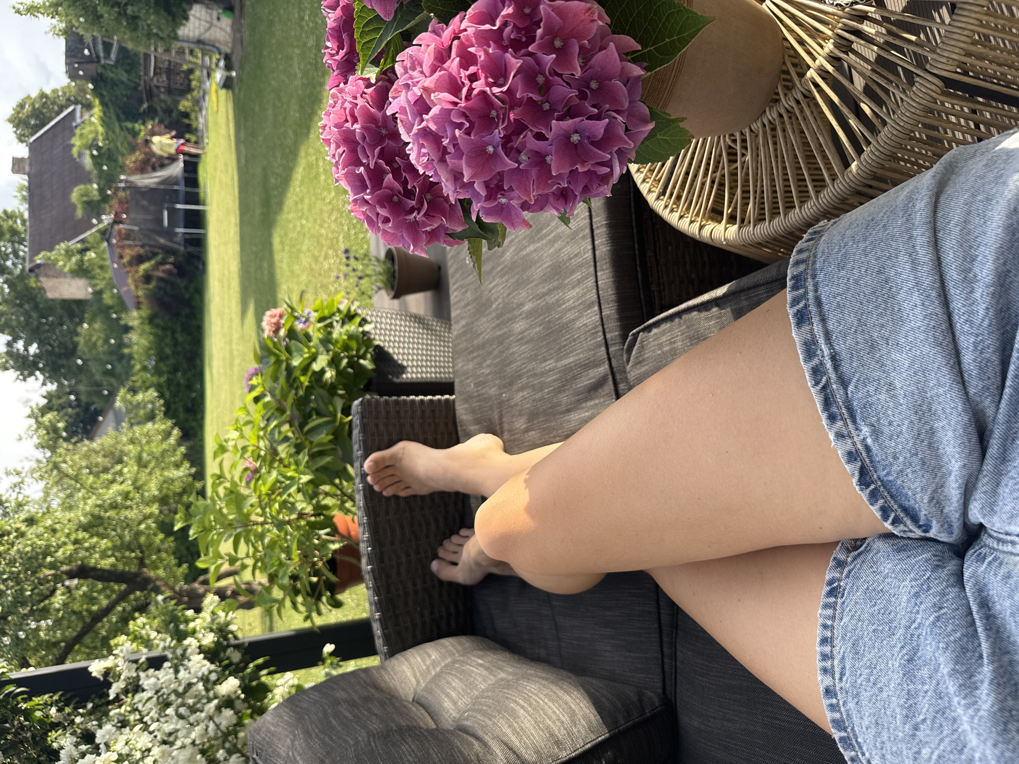 In Carnikava, Latvia, a person relaxes on a dark grey outdoor sofa in a sun-drenched backyard. Their legs, clad in denim shorts, are crossed, and their bare feet are visible. To the right, a terracotta pot holds vibrant pink hydrangeas, resting on a woven wicker side table. In the background, a lush green lawn stretches towards a line of trees, with a trampoline and a distant building suggesting a residential area. The scene is peaceful, with the sunlight casting a warm glow on the subject's legs.