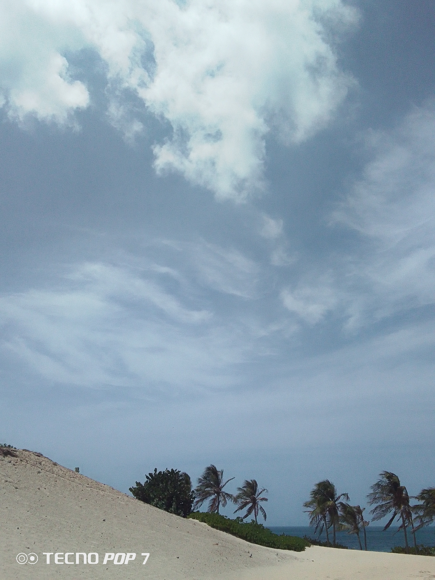 The image shows a beach scene in Pedro González, Venezuela. The foreground is dominated by a sandy hill or dune. Several palm trees are visible along the coastline, swaying in what appears to be a windy condition. In the background, there is a glimpse of the ocean. The sky is overcast with a mix of light and dark clouds. The bottom left corner of the image contains the watermark "TECNO POP 7".