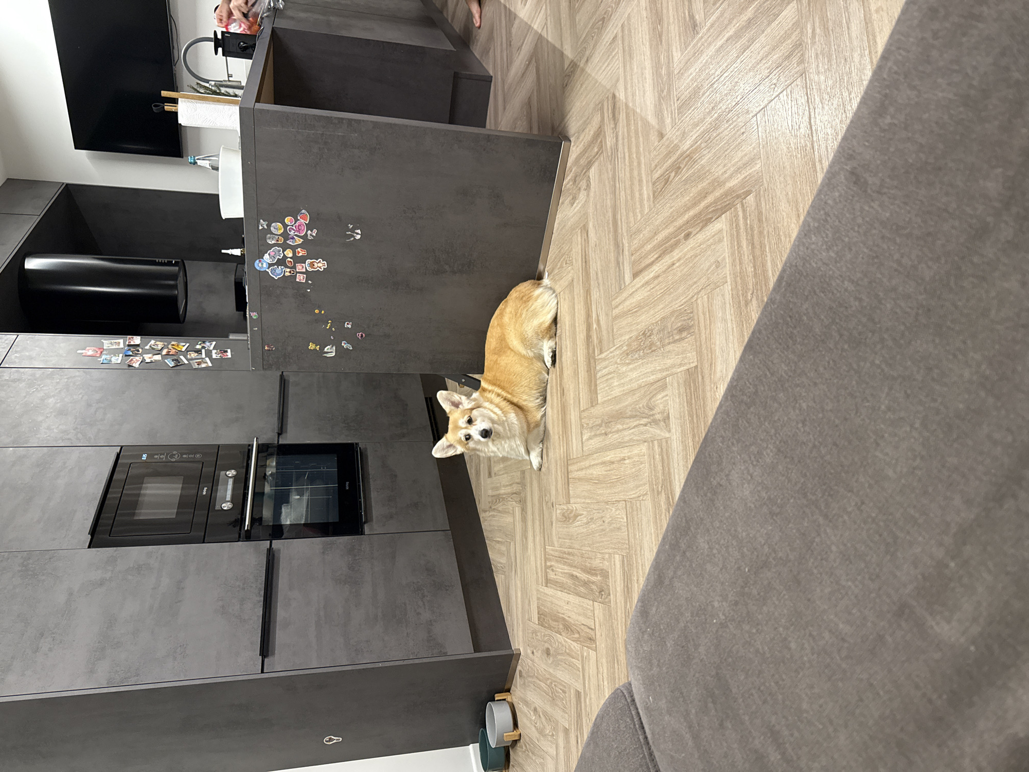 A domestic scene in what appears to be the kitchen of a residence. The camera is angled. A tan and white corgi is centrally positioned on a light brown, wood-patterned floor. It is looking upwards towards the camera. A dark grey kitchen counter with affixed magnets is located left of the corgi, and a grey couch is located on the right. A modern kitchen appliance unit featuring a microwave, oven, and vent hood is visible in the background. Location cannot be determined from the image. No humans are fully visible.