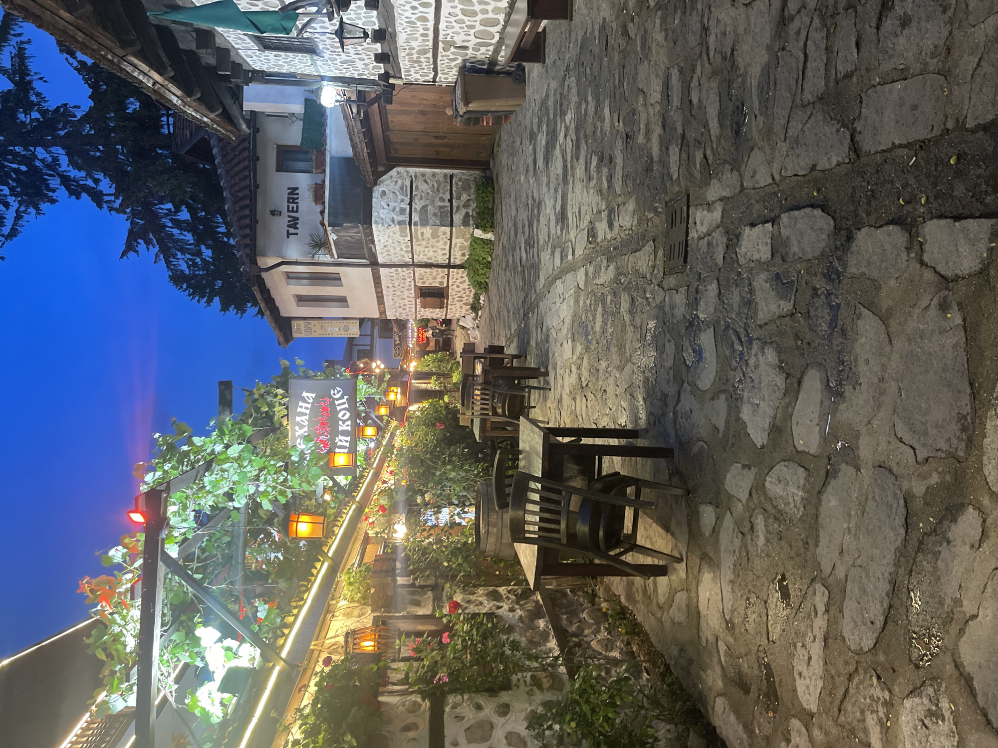 An outdoor scene depicts a charming tavern or restaurant at dusk or night, viewed along a cobblestone pathway. The sky above is a deep indigo blue, indicating the evening hour. The pathway, made of irregular stone pavers, leads through an area furnished with wooden tables and chairs arranged for outdoor dining.
On the left side of the path, lush green vines and blooming rose bushes climb on trellises, adorned with warm-toned lanterns and string lights that cast a gentle glow on the foliage and seating area. A prominent black sign with white and red lettering, featuring Cyrillic script, reads "МЕХАНА КАЙ КОЦЕ" (Mekhana Kai Kotse, likely the name of the establishment).
On the right side of the path, several traditional buildings with white plastered walls and stone accents are visible. One building clearly displays the word "TAVERN" in dark letters on its facade. The architecture features exposed wooden beams and a mix of white plaster and natural stone, contributing to a rustic and inviting atmosphere. A large, dark evergreen tree stands tall against the night sky in the background. No people are present, lending a quiet and serene feel to the illuminated outdoor setting. A metal drain grate is visible on the cobblestone path in the foreground.