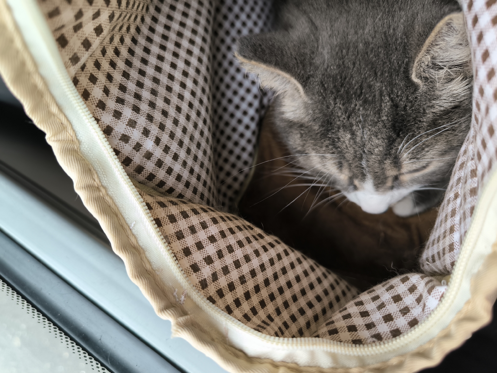 The image shows a close-up view of a gray and white cat sleeping in a light brown fabric carrier. The carrier has a checkered pattern of brown diamonds on a white background lining its interior. The cat's head is tilted down, with its eyes closed and its white whiskers visible. Its fur is short and dense, and its ears are slightly back. The carrier appears to be made of a soft, padded material, and a zipper runs along the top edge, partially open. The background outside the carrier is blurred, showing hints of a bright, possibly daytime setting with a blueish hue, suggesting it might be near a window or outdoors. The overall mood is peaceful and serene, as the cat is clearly resting. No text is visible in the image.