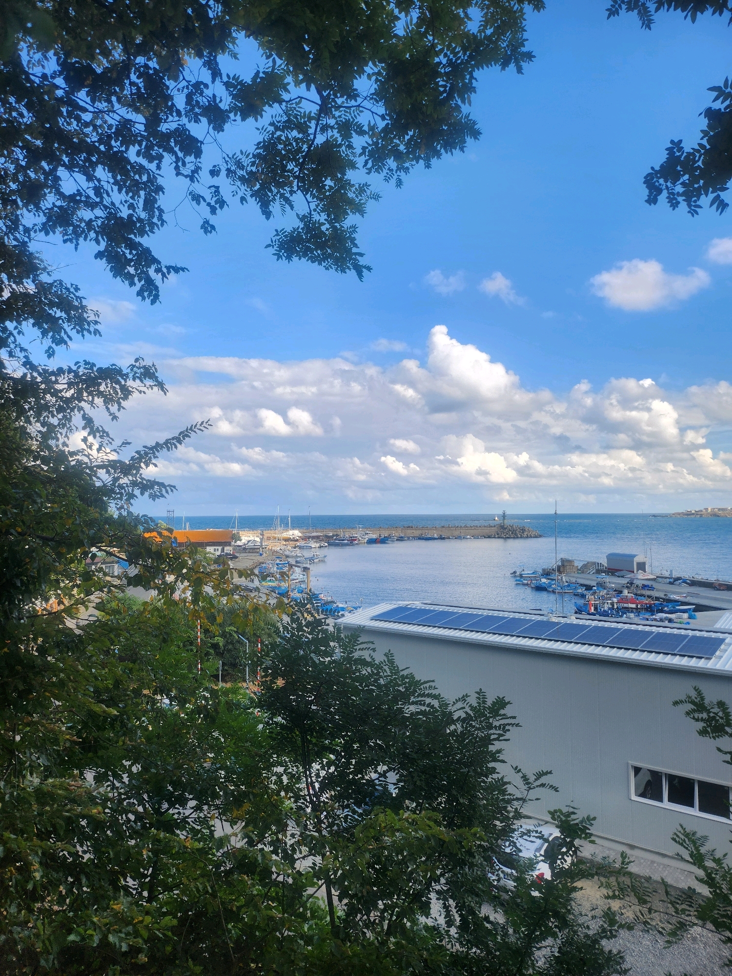 The image depicts a view of the Tsarevo, Bulgaria harbor on a bright, partly cloudy day. In the foreground, lush green foliage, predominantly tree branches and leaves, frames the scene from the top and sides. Below the foliage, a modern, gray industrial building with a corrugated metal roof is visible. This roof is covered with rows of solar panels. A white vehicle is parked in front of the building.
Beyond the building, the harbor is filled with numerous fishing boats and a few sailboats. The water is a deep blue, reflecting the sky. A long, stone pier with a lighthouse at its end juts out into the sea, marking the entrance to the harbor. In the distance, the coastline is visible with a few buildings. The sky is a vibrant blue, dotted with fluffy white clouds. The overall impression is a functional port town juxtaposed with natural elements and modern infrastructure.