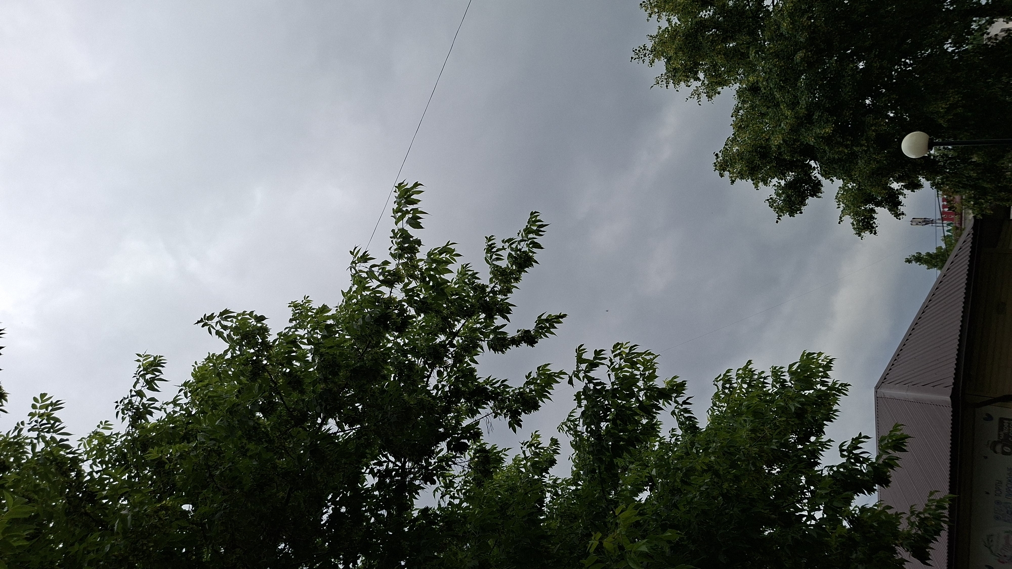 The image depicts an overcast sky with scattered clouds. In the foreground, the canopy of a large green tree with dark green leaves dominates the left side of the frame. A thin black wire stretches diagonally across the upper portion of the image. Below the tree and to the left, the brown, corrugated metal roof of a building is visible. Further to the right, another green tree with denser foliage is present, and a white spherical lampshade on a pole can be seen. In the background, a cell tower and some colorful building structures are discernible. The scene appears to be outdoors in an urban or semi-urban environment, likely in Chaikovsky, Russia, given the context. No people are visible in the image.