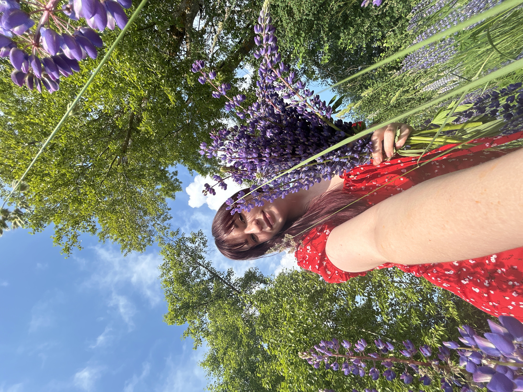A young woman with long, auburn hair and bangs, wearing a red floral dress, is holding a bouquet of purple lupine flowers. She is outdoors, in a field of lupines, with lush green trees and a blue sky with scattered clouds visible in the background. The image is taken from a low angle, looking upwards. The woman appears to be taking a selfie, extending her arm towards the camera. The scene suggests a sunny day in a natural setting. The location is identified as the city of Garevaya, Russia.