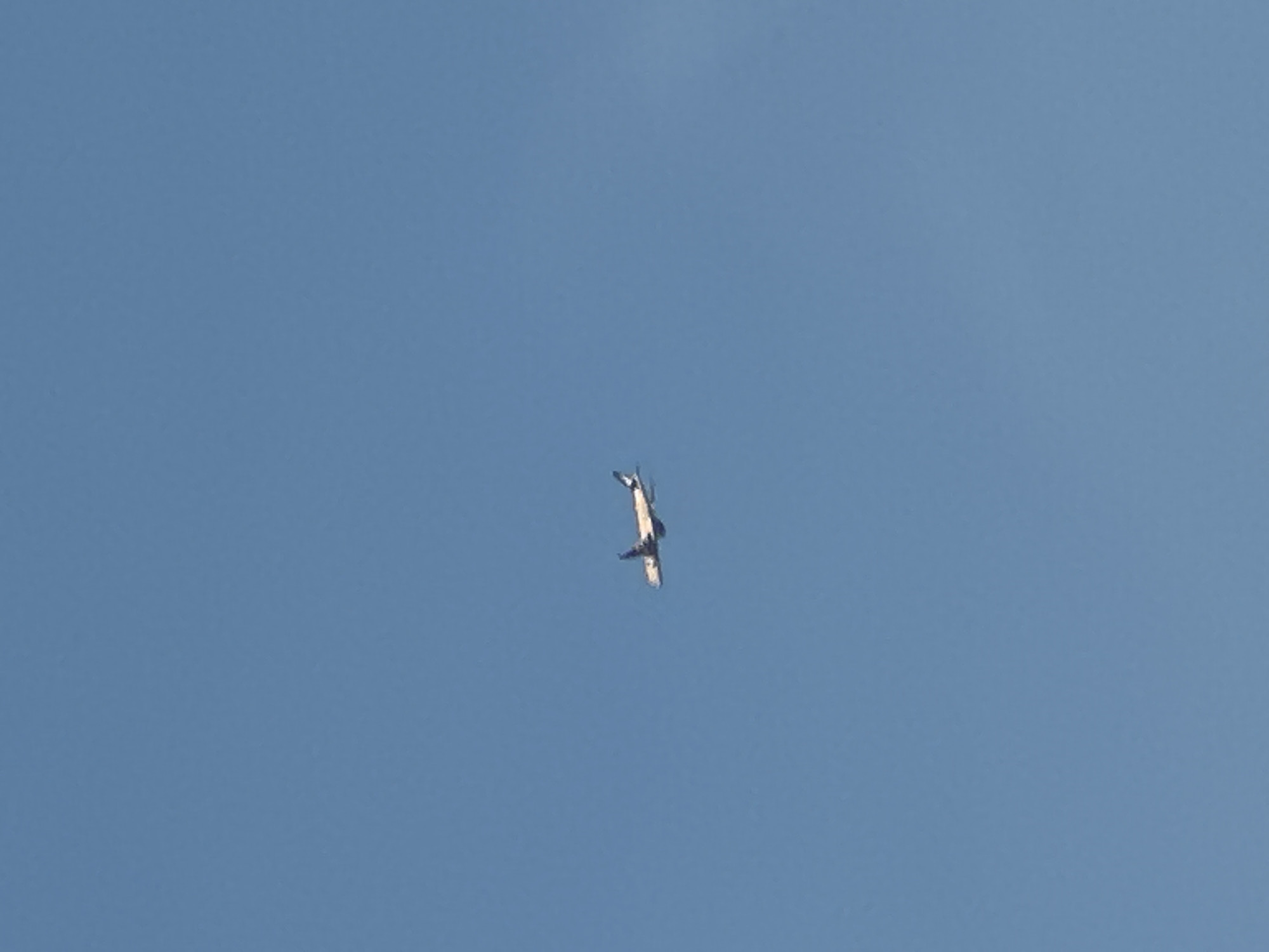 An airplane is seen flying in a clear blue sky. The airplane is white with a dark colored tail and appears to be a commercial jetliner. It is flying from left to right across the frame. No other objects or people are visible in the image, and there are no discernible landmarks that would indicate a specific location in London or any other city. The environment is solely the open sky.