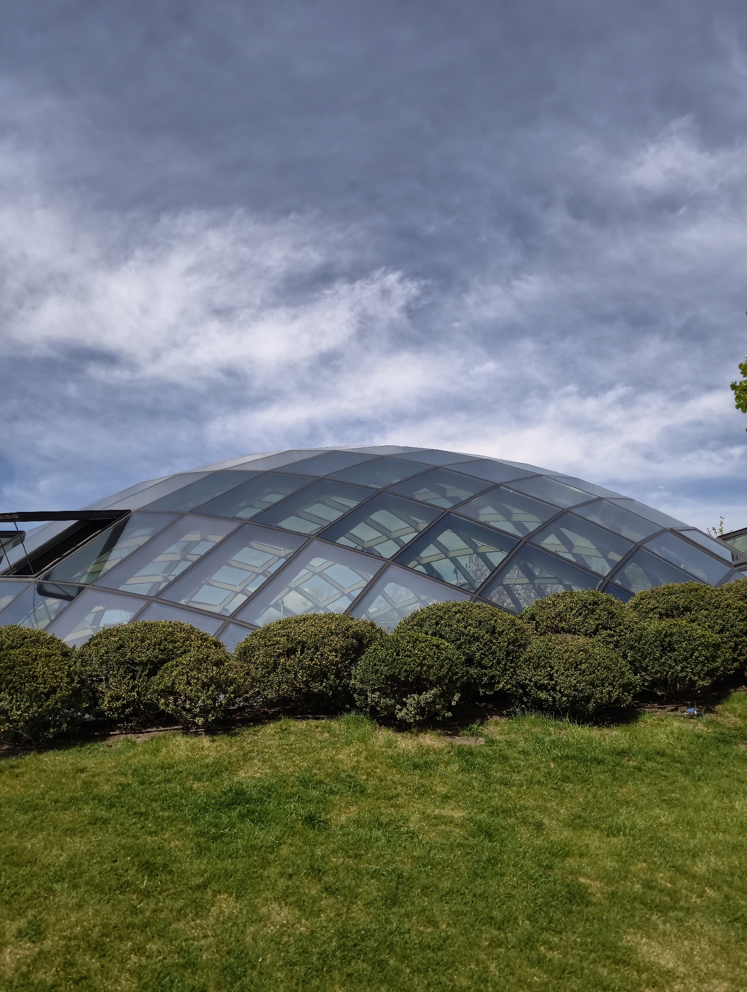 The image displays a modern, dome-shaped glass structure, likely a conservatory or greenhouse, situated beneath a dynamic, cloudy sky. In the foreground, a lush green grassy slope ascends to a neatly manicured hedge of rounded, evergreen bushes that border the base of the glass building.
The dome is constructed from numerous geometric glass panels, which reflect the overcast sky and hints of internal structures. An open section or vent is visible on the left side of the dome, suggesting an architectural feature for ventilation or access. The sky above is predominantly cloudy, with a mix of light and dark gray clouds, indicating daytime conditions, possibly with diffused sunlight.
No people or specific activities are visible, presenting a tranquil and architectural landscape. The scene conveys a sense of contemporary design harmoniously integrated with cultivated nature. Based on the provided context, the location is Krasnodar, Russia, suggesting this could be a feature of a modern park or botanical garden in the city. There is no visible text in the image.