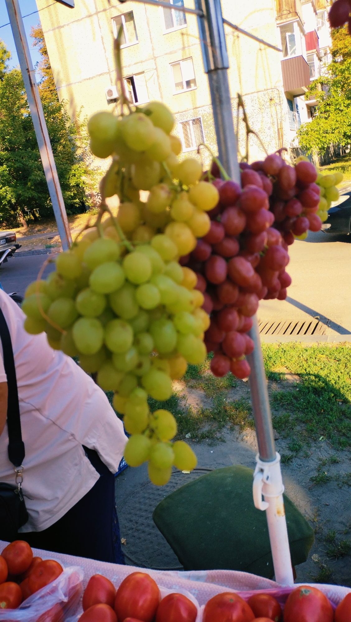 A street stall in Horishni Plavni, Ukraine, is set up for selling produce. Two bunches of grapes hang from a metal pole. One bunch consists of green grapes, and the other is a mix of red and dark purple grapes. In the foreground, a plastic bag holds several red tomatoes. A person wearing a pink shirt and dark pants is partially visible to the left, behind the tomatoes and grapes. The background shows a building and trees, suggesting an urban or suburban setting.