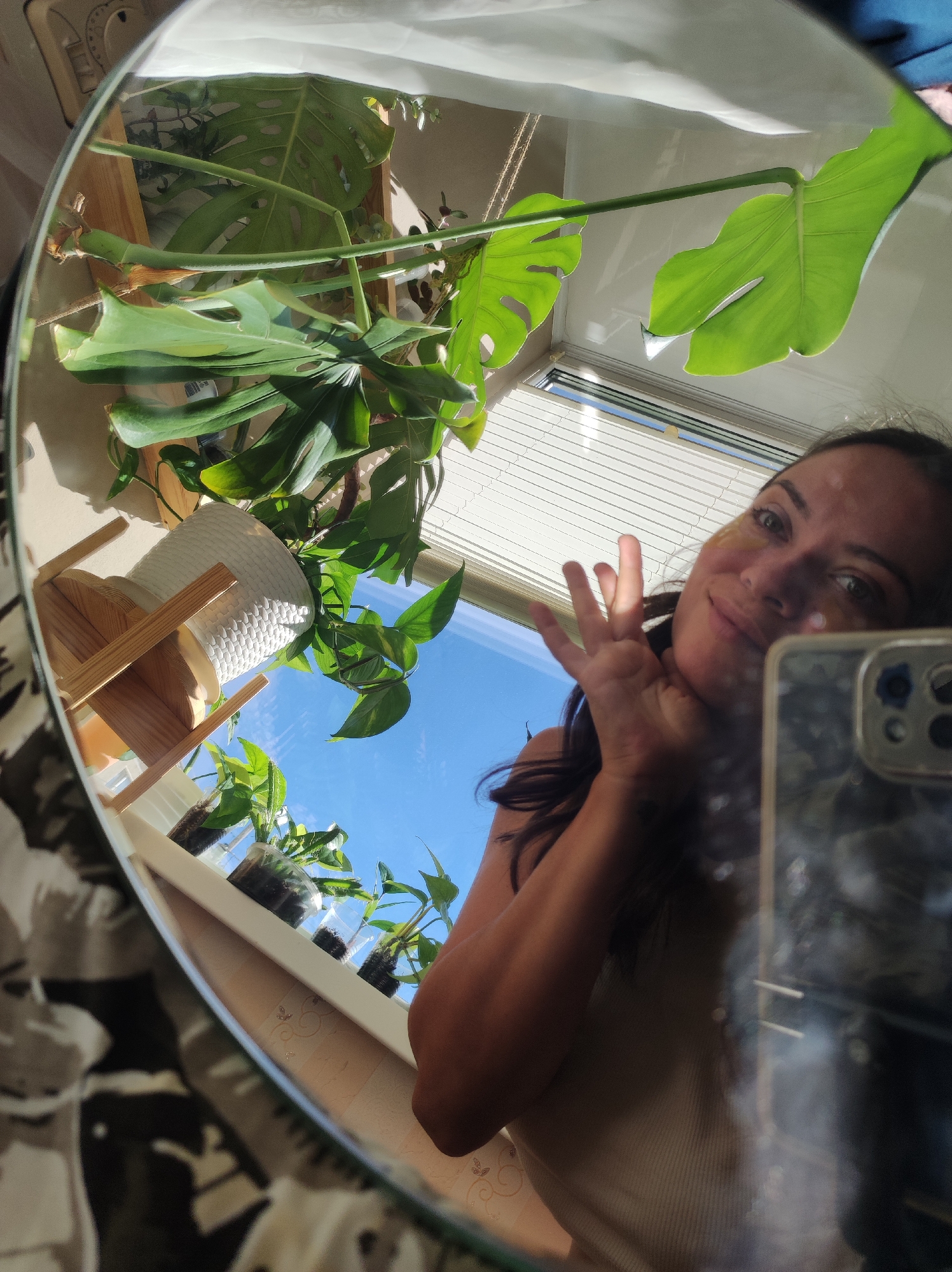 A woman with dark hair is reflected in a large, oval mirror. She is smiling and holding her hands up to her face. She is wearing a light-colored tank top and has gold eye masks on. The mirror reflects a room with several potted plants. A large Monstera plant is prominent in the foreground, with its characteristic large, fenestrated leaves. Other smaller plants are visible on a windowsill. A white woven pot holds one of the plants. Sunlight streams in from a window, casting shadows. The background reflection shows a blue sky with some clouds, indicating it is daytime. A phone case is visible in the lower right corner of the mirror's reflection. The scene appears to be indoors, likely in a residential setting, near a window. There are no discernible features that indicate the specific location in Chaikovsky, Russia.
