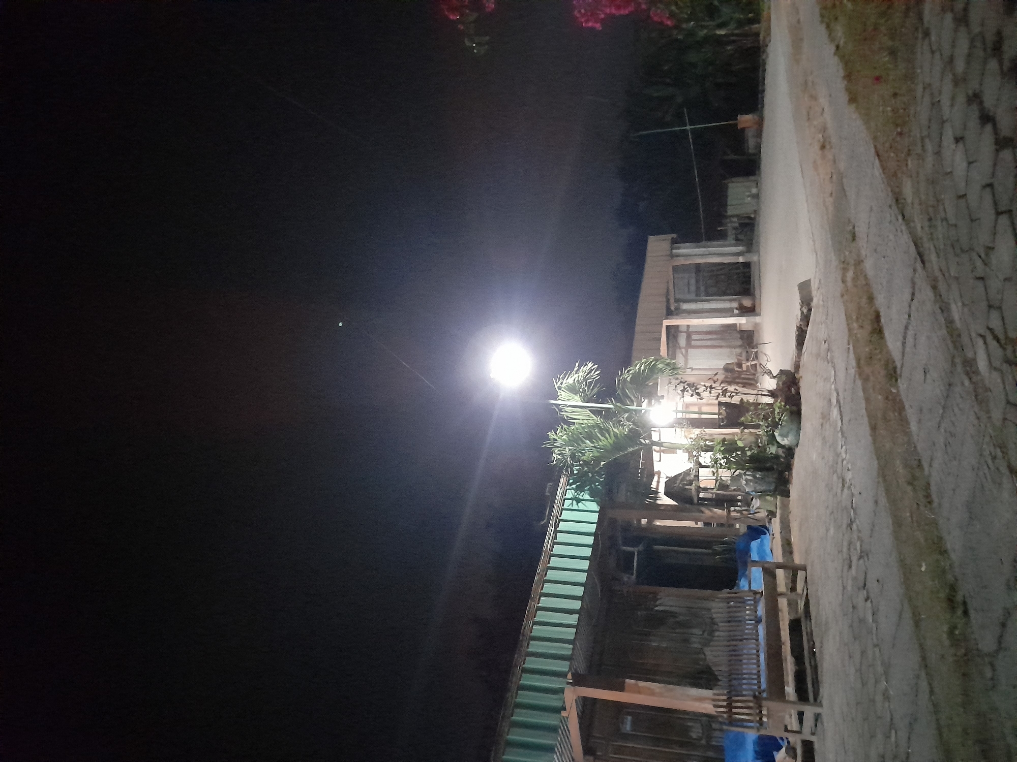 This is a photograph taken at night in Pulokulon, Indonesia. The scene depicts an outdoor area with a bright overhead light illuminating a building and some vegetation. The building appears to be a rustic structure with wooden elements and a green corrugated roof. There are also some plants, possibly palm trees, growing near the structure. To the right of the building, a paved pathway or road is visible, bordered by grassy ground. The overall atmosphere is dimly lit, characteristic of nighttime, and there is no indication of specific weather conditions. No people are visible in the image, and no text is present. The composition is tilted, giving the impression of a vertical orientation in the original scene.