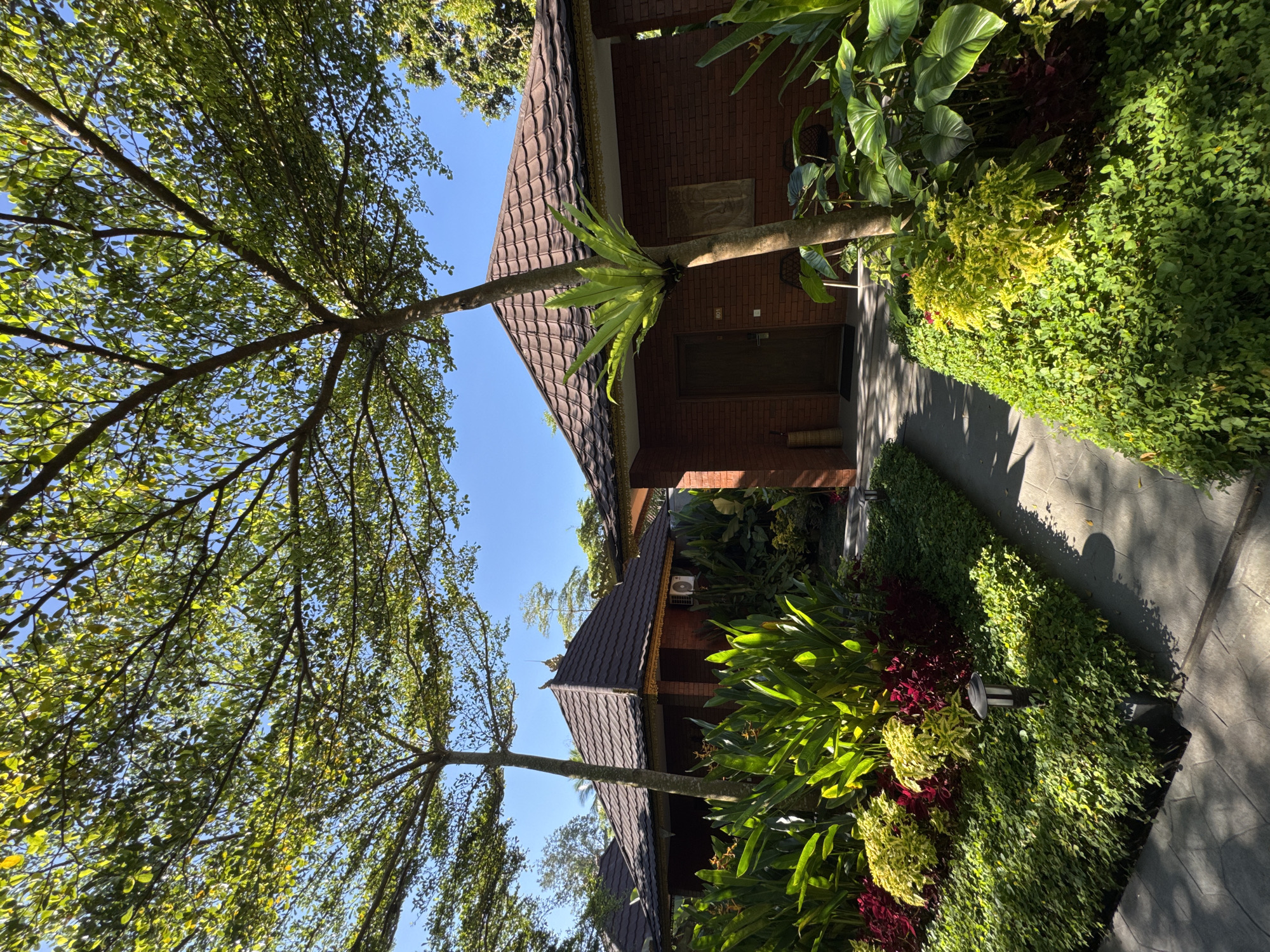 The image depicts an outdoor scene in Rendang, Indonesia, featuring a walkway leading between two brick buildings with dark brown, tiled roofs. Lush green and yellow foliage flank the walkway. Trees with light green leaves are visible, partially obscuring the sky, which is a clear blue.